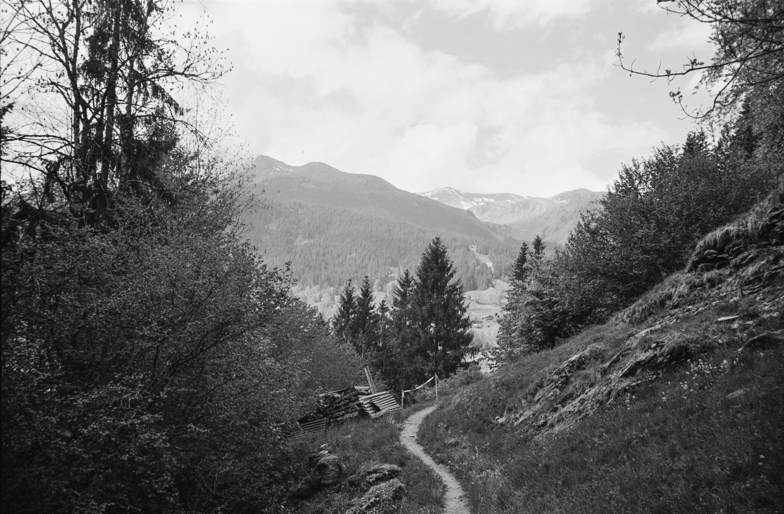 euroscan-426-positive.jpg