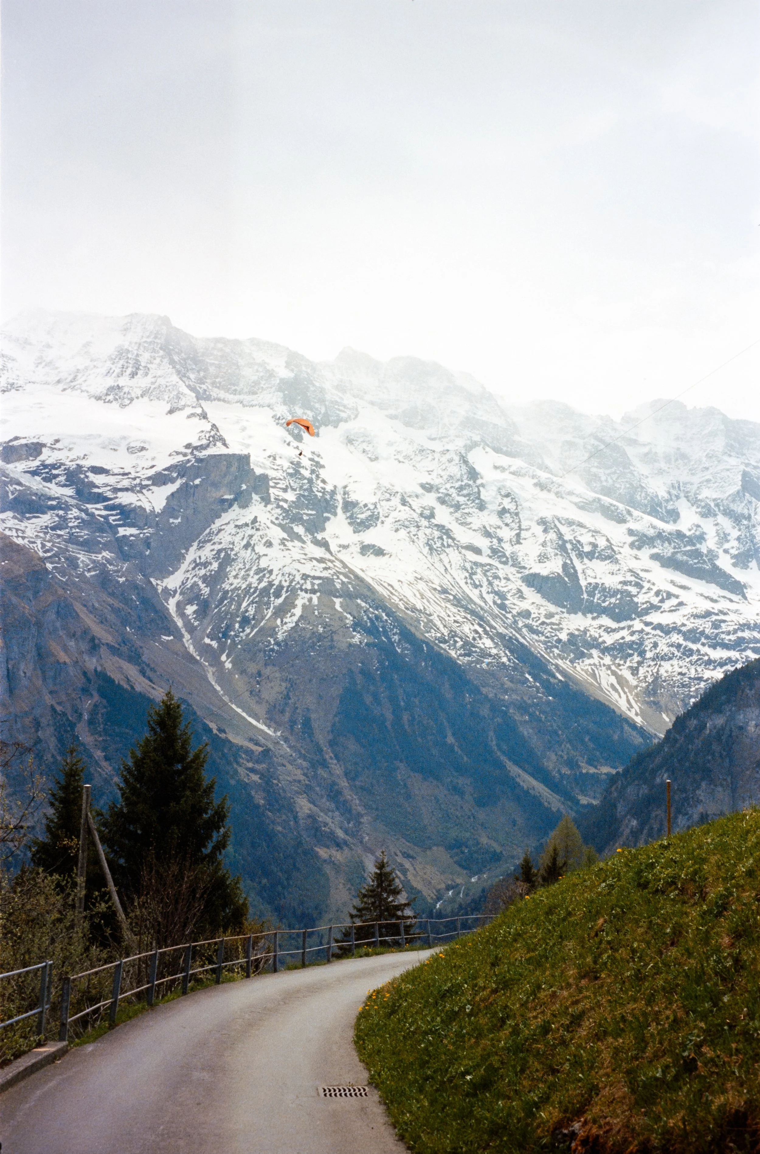 euroscan-130-positive.jpg