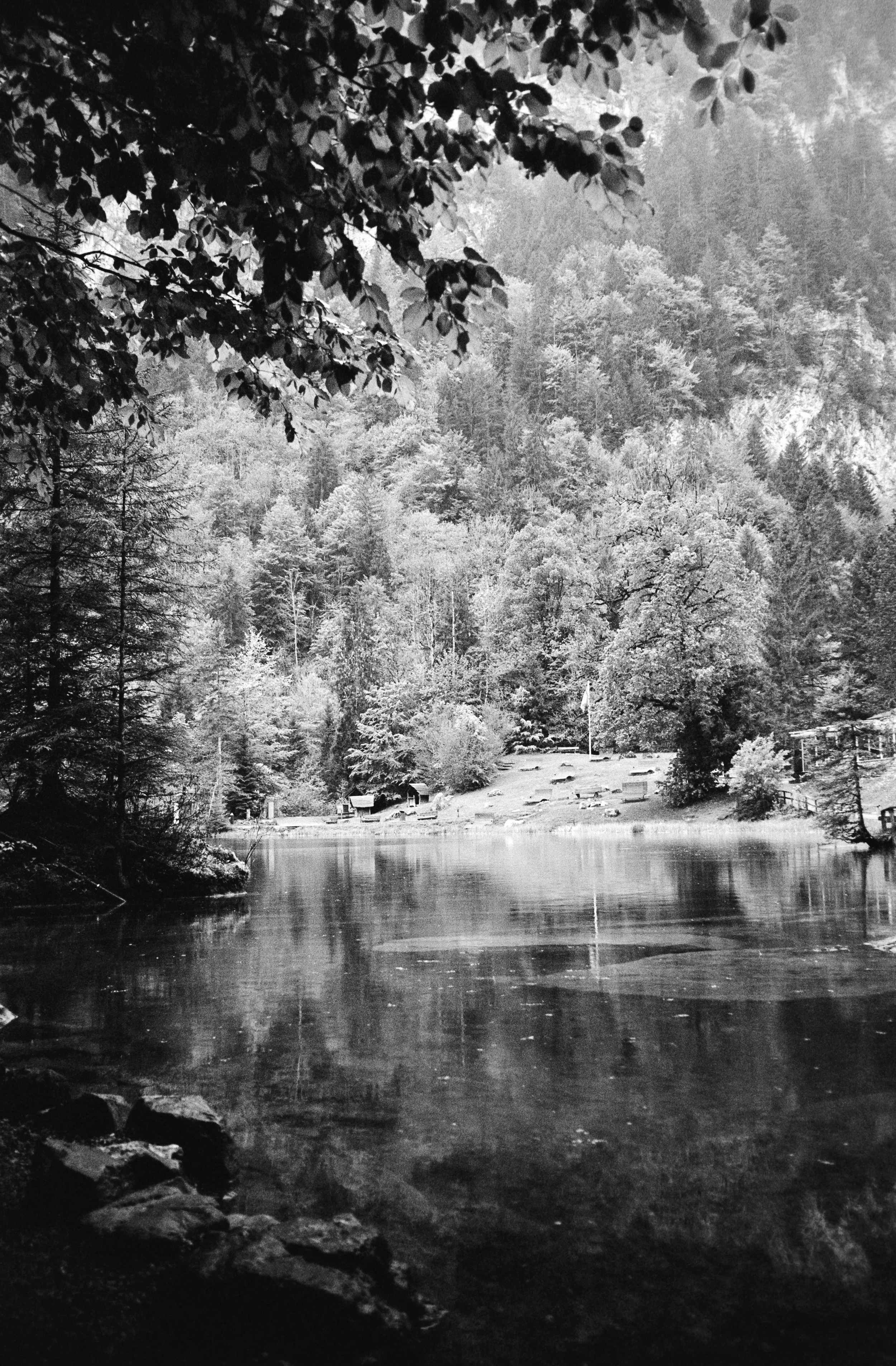 euroscan-437-positive.jpg