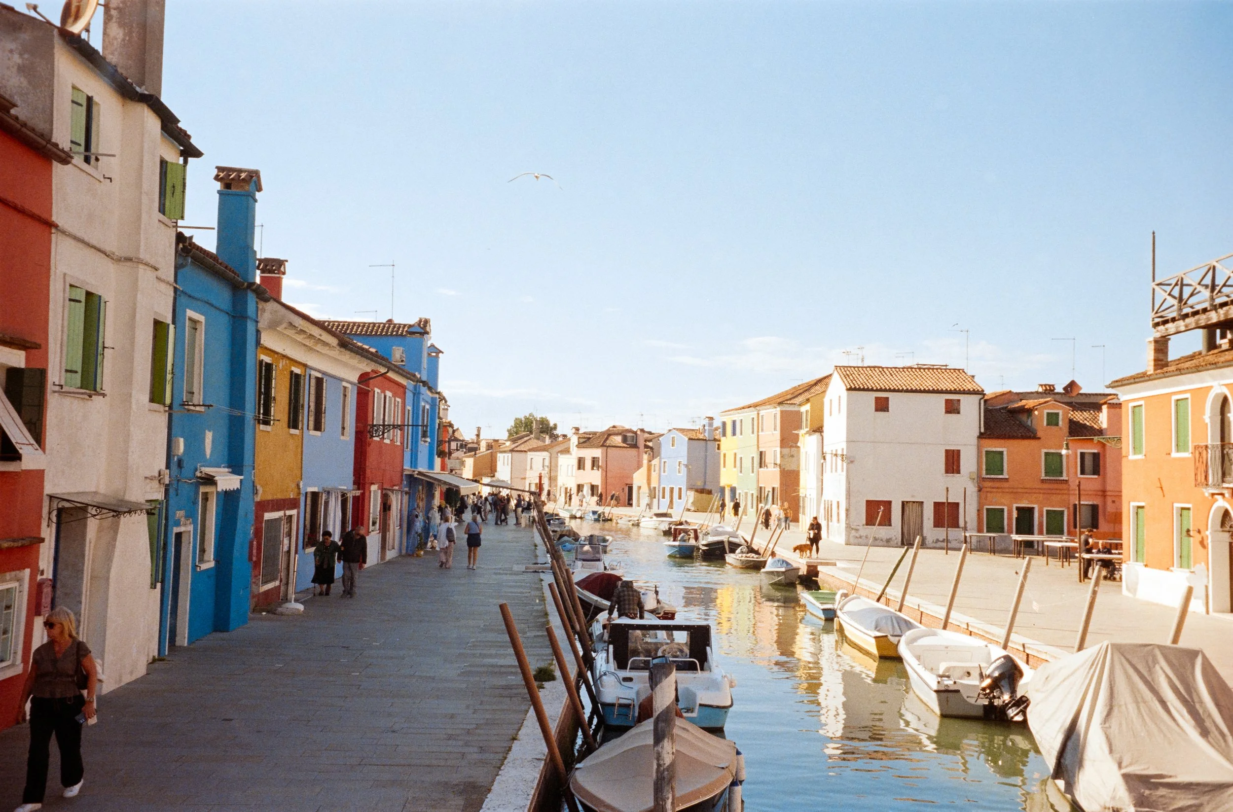 euroscan-271-positive.jpg