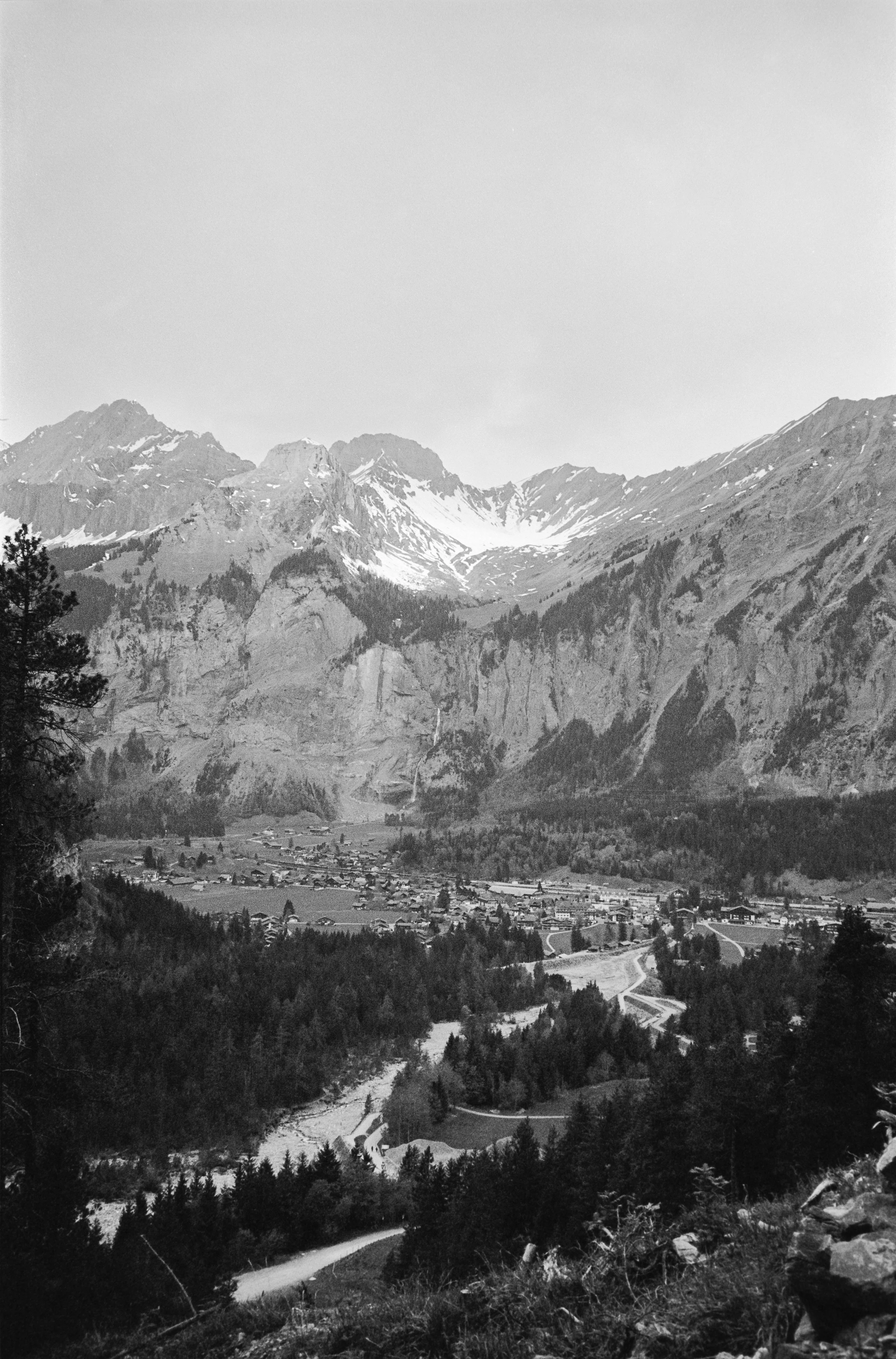 euroscan-493-positive.jpg