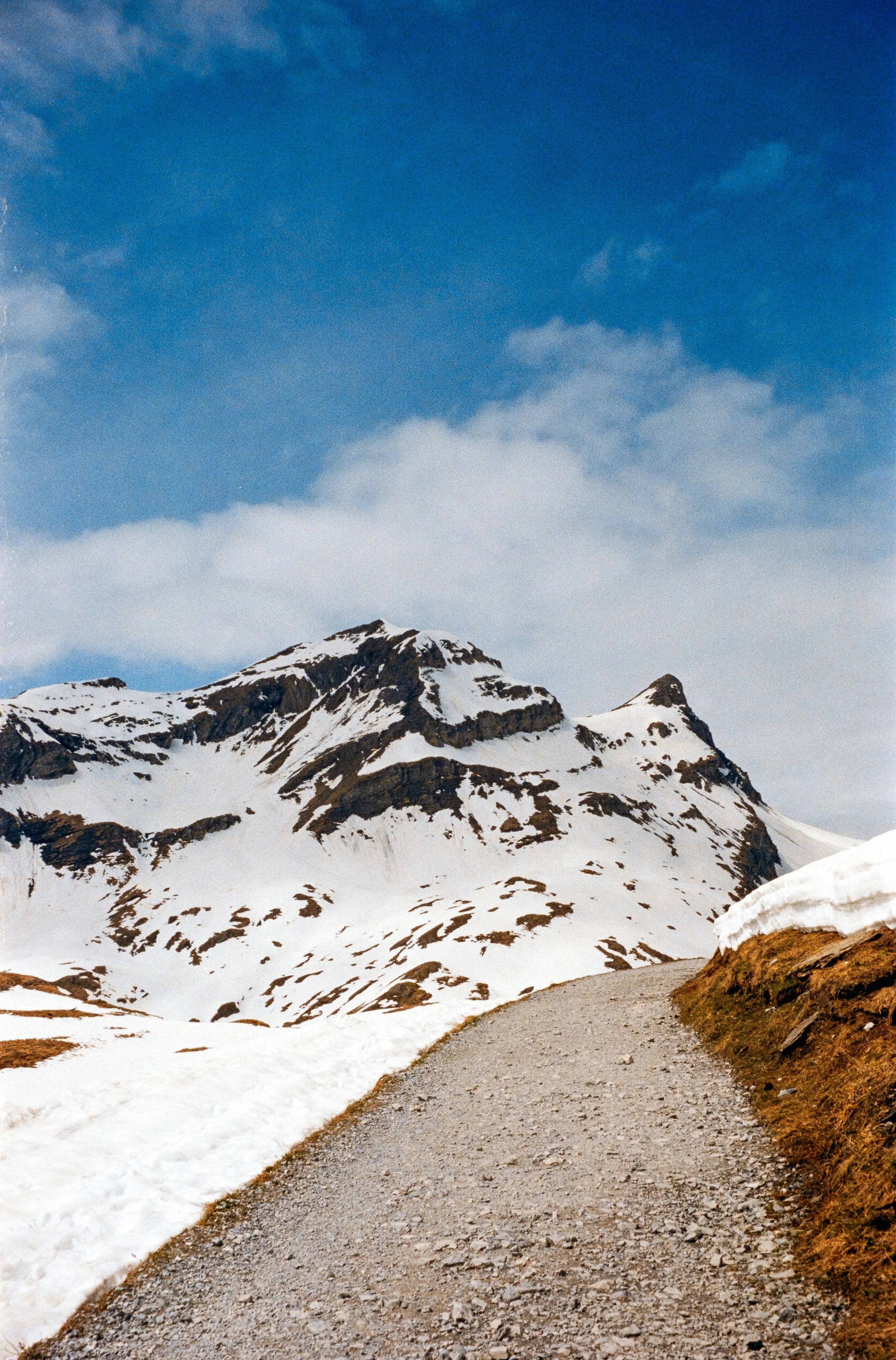 euroscan-225-positive.jpg