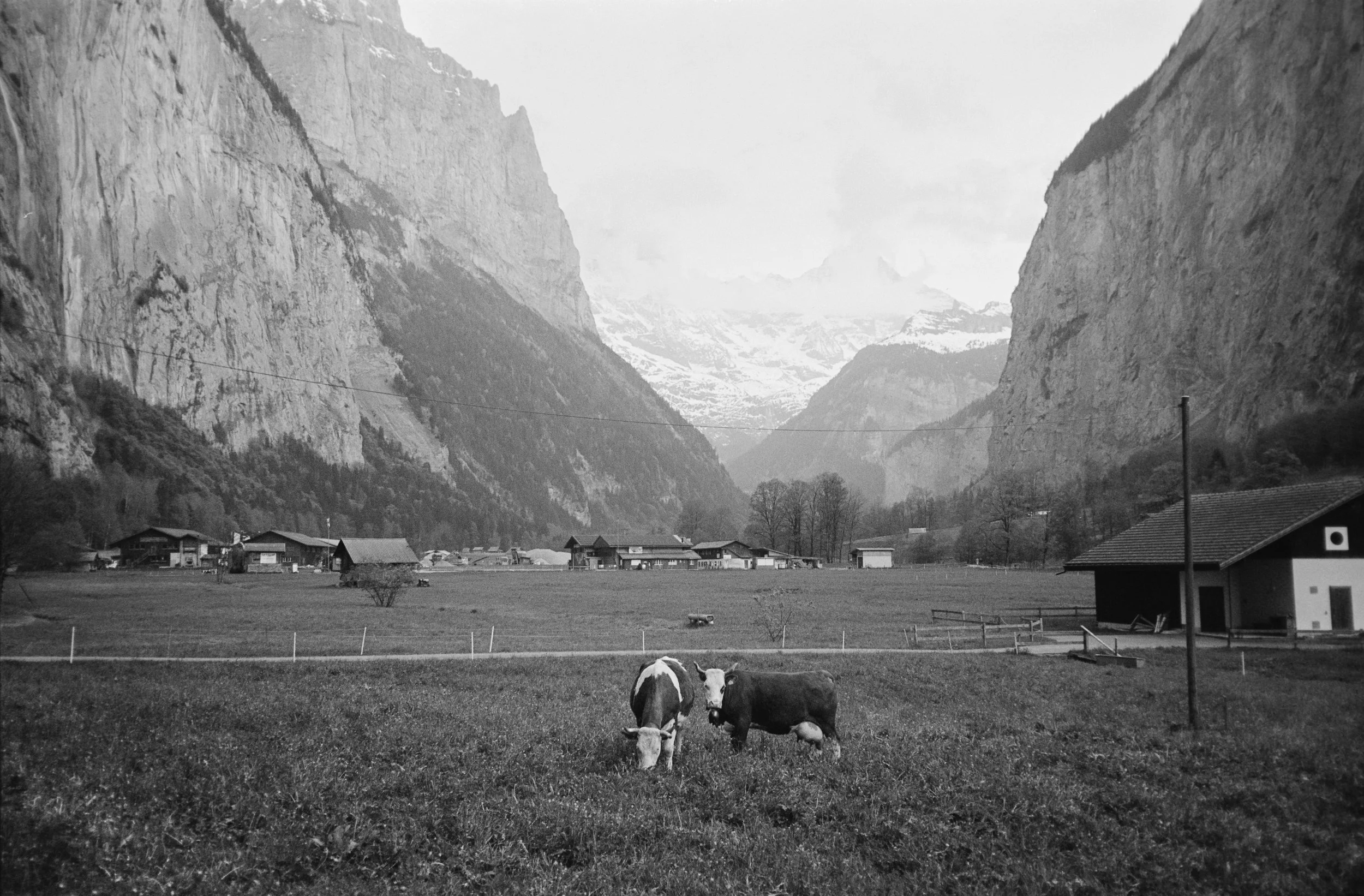 euroscan-549-positive.jpg