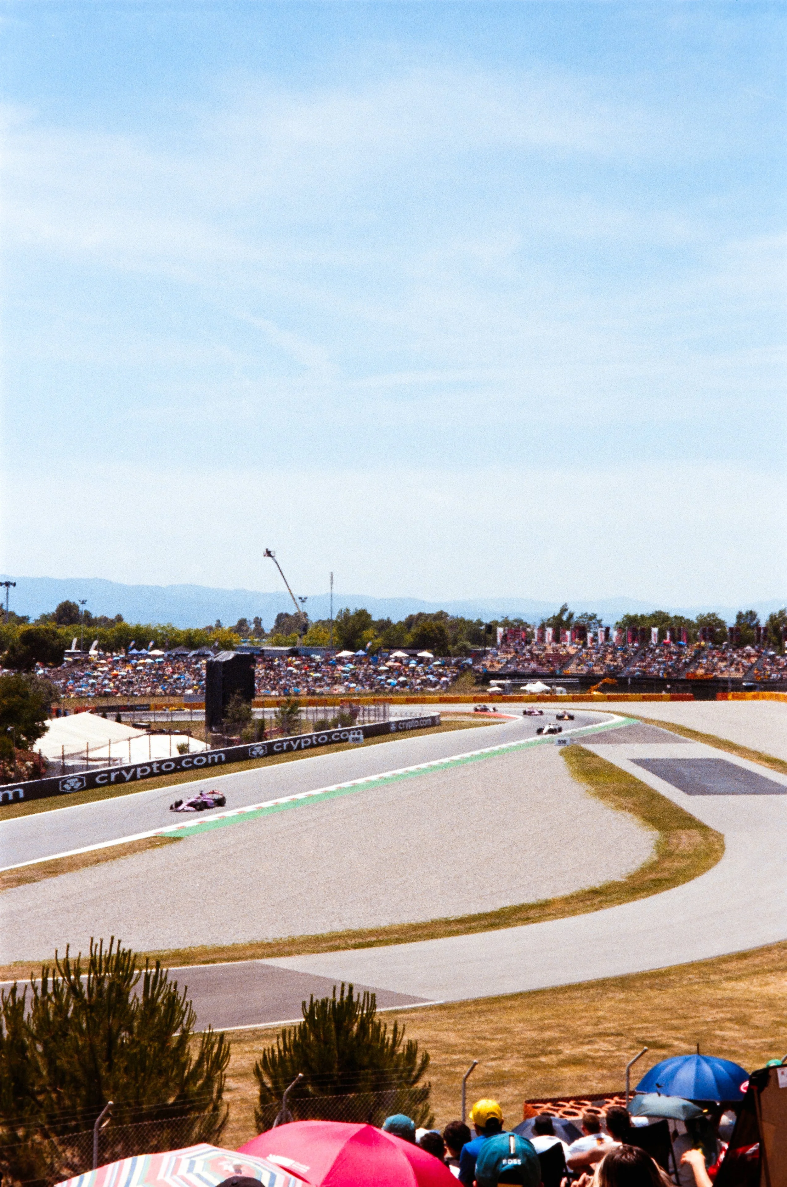 euroscan-111-positive.jpg