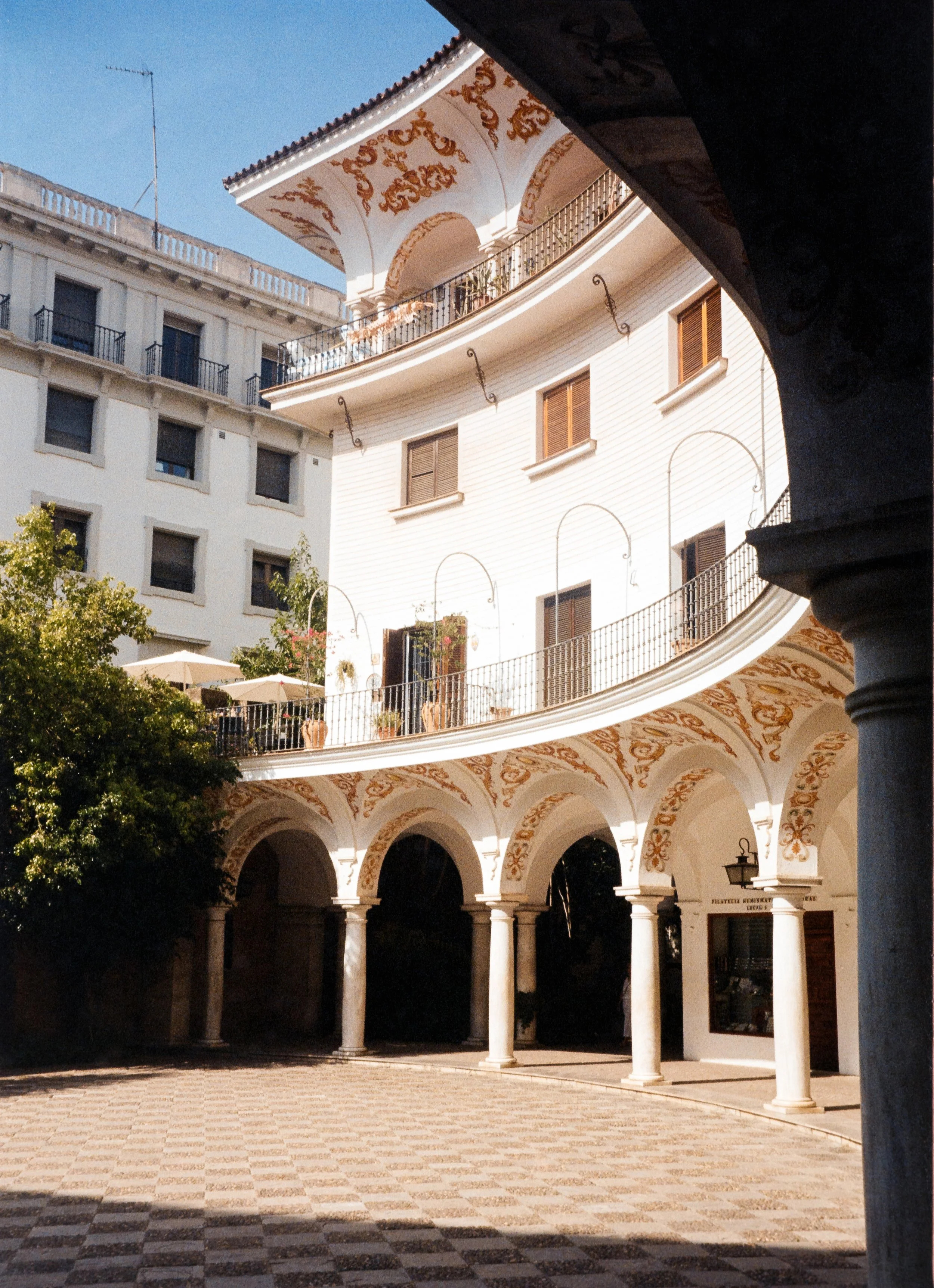euroscan-313-positive.jpg