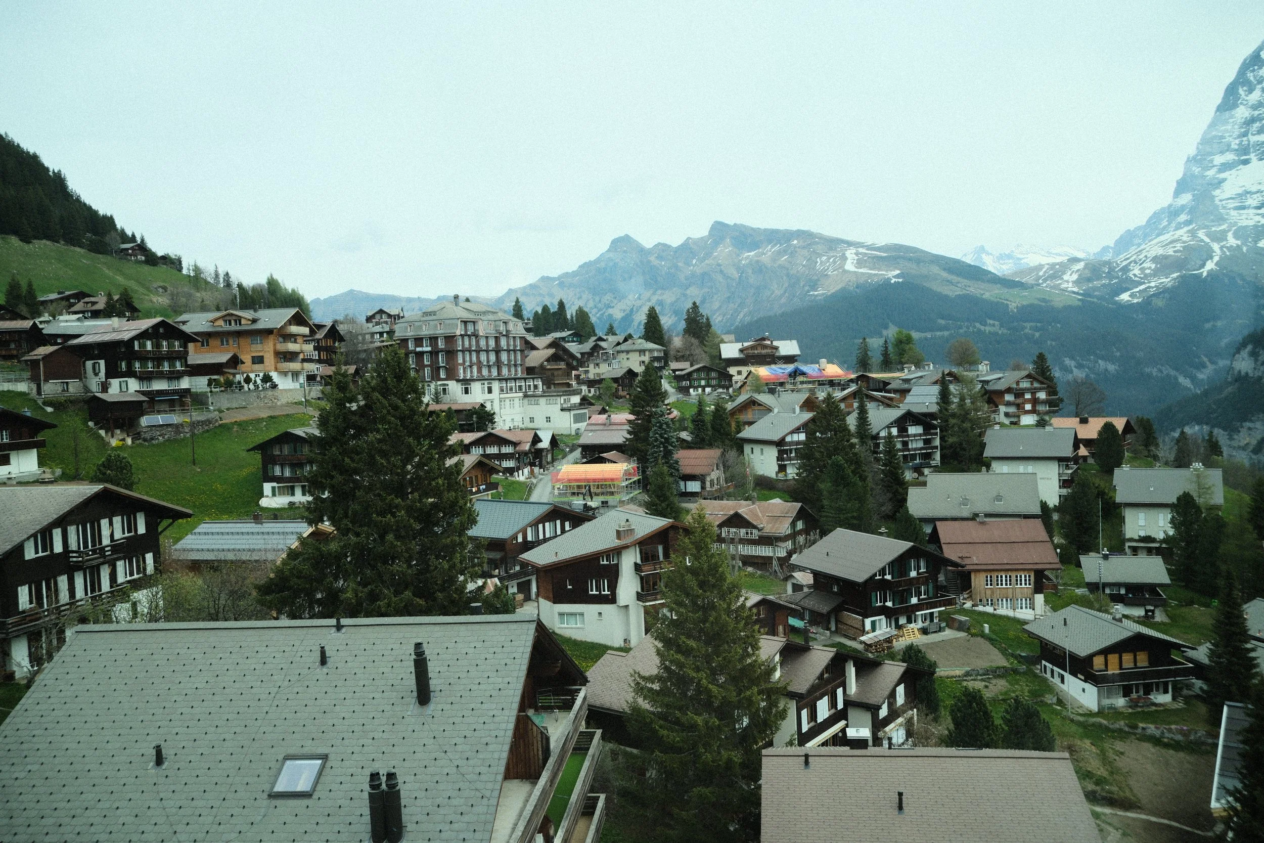 _DSF0978.jpg