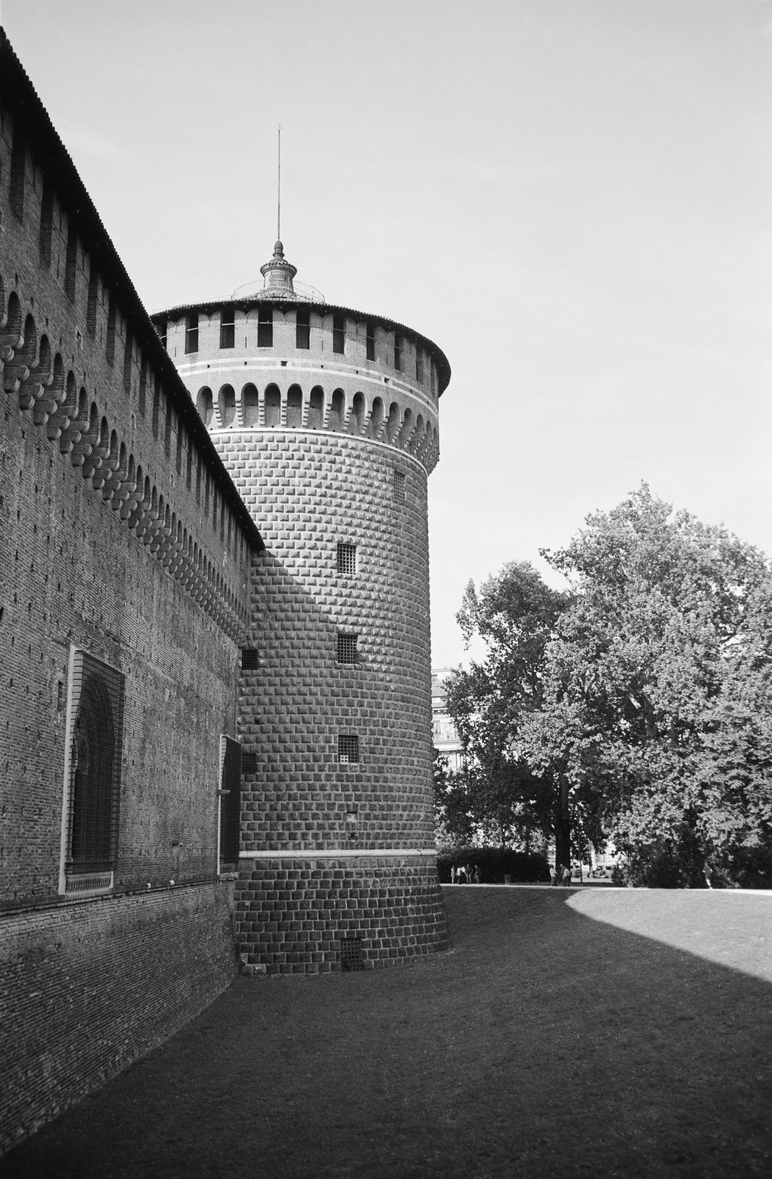 euroscan-375-positive.jpg