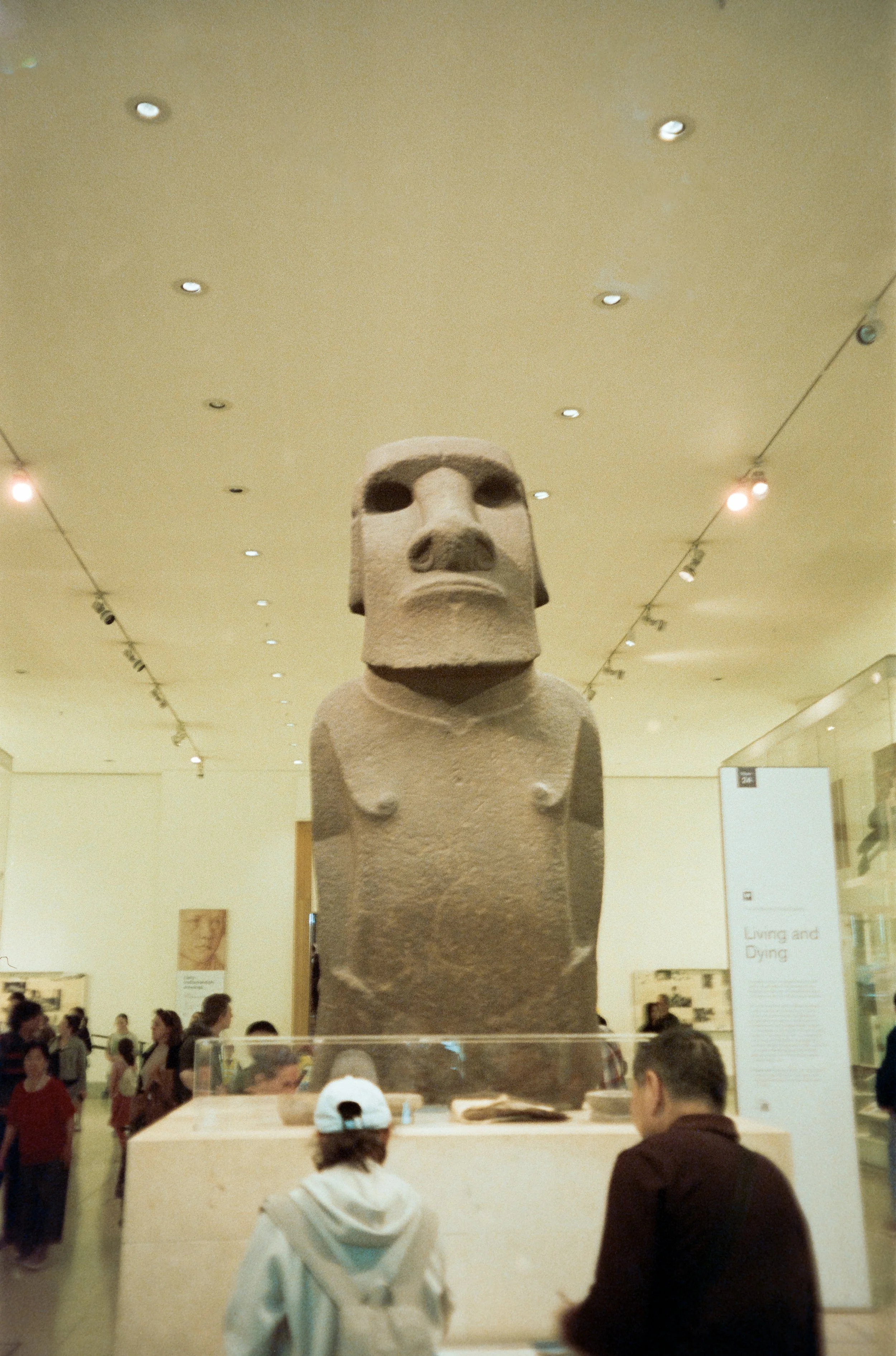 euroscan-167-positive.jpg