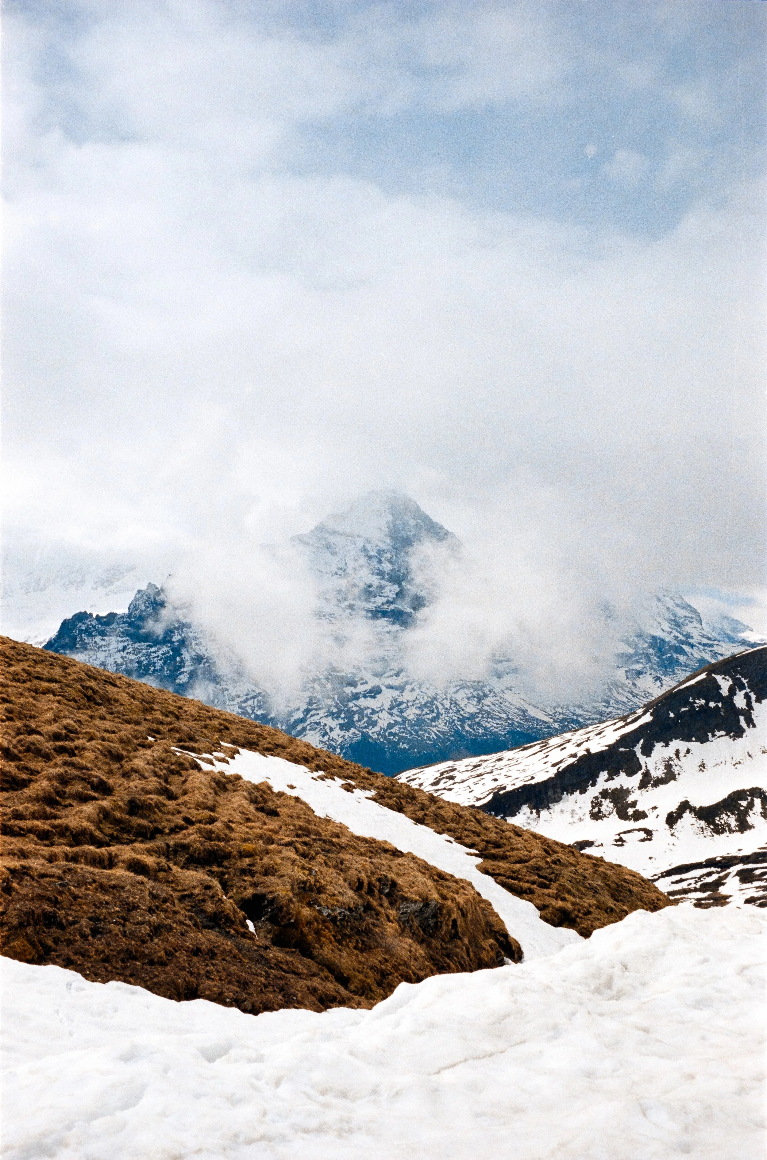 euroscan-220-positive.jpg