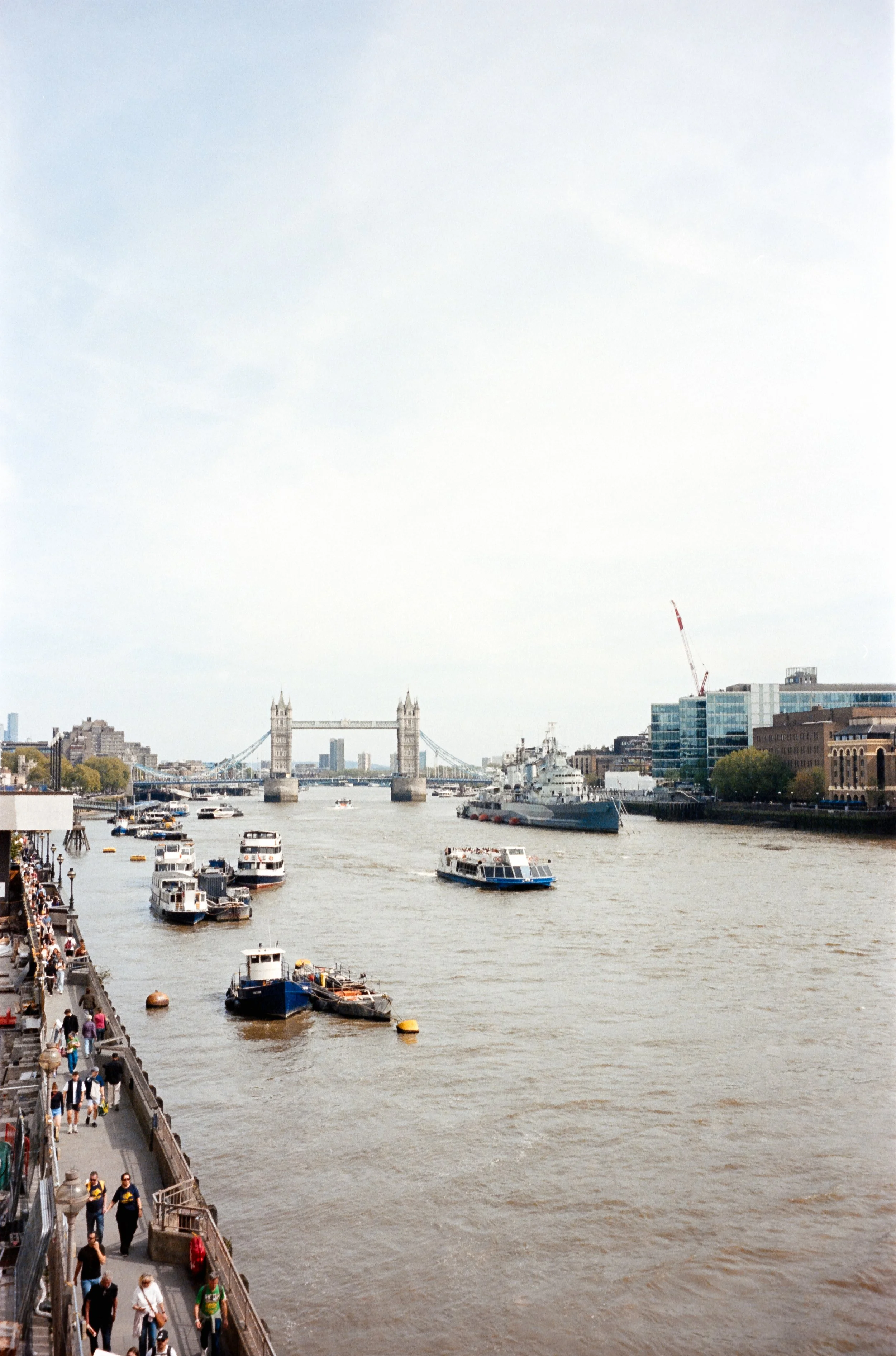 euroscan-291-positive.jpg