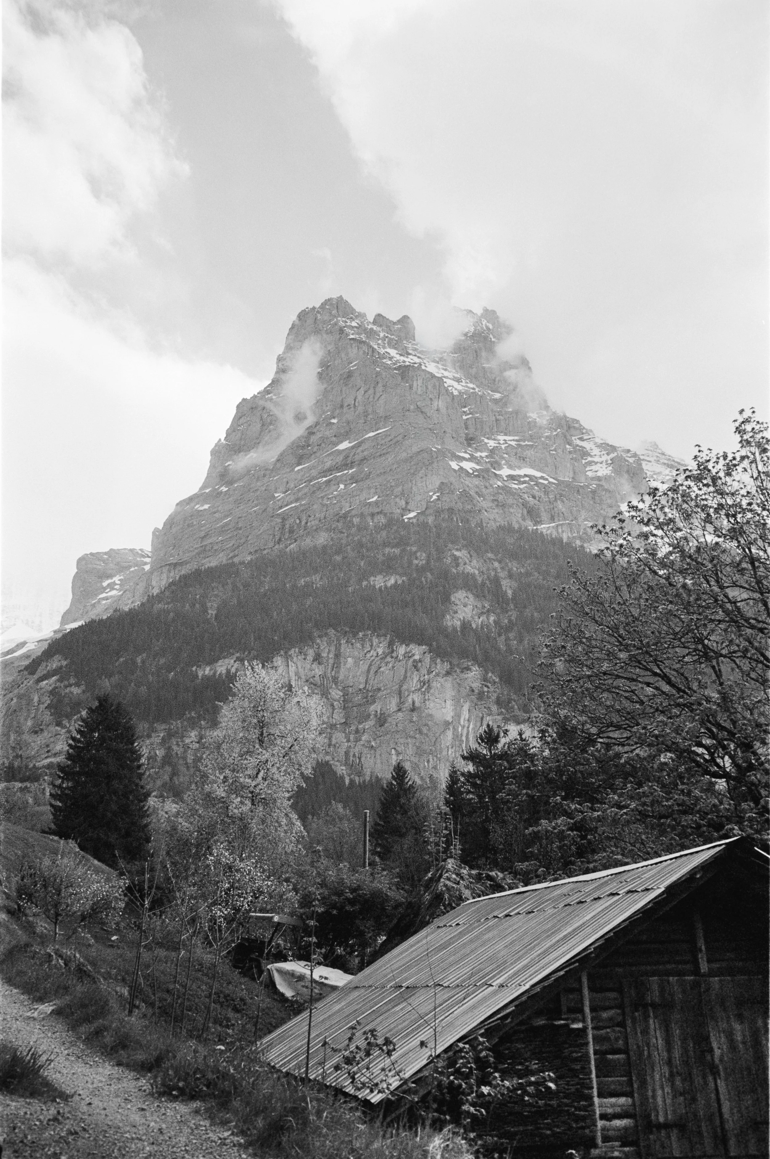 euroscan-427-positive.jpg