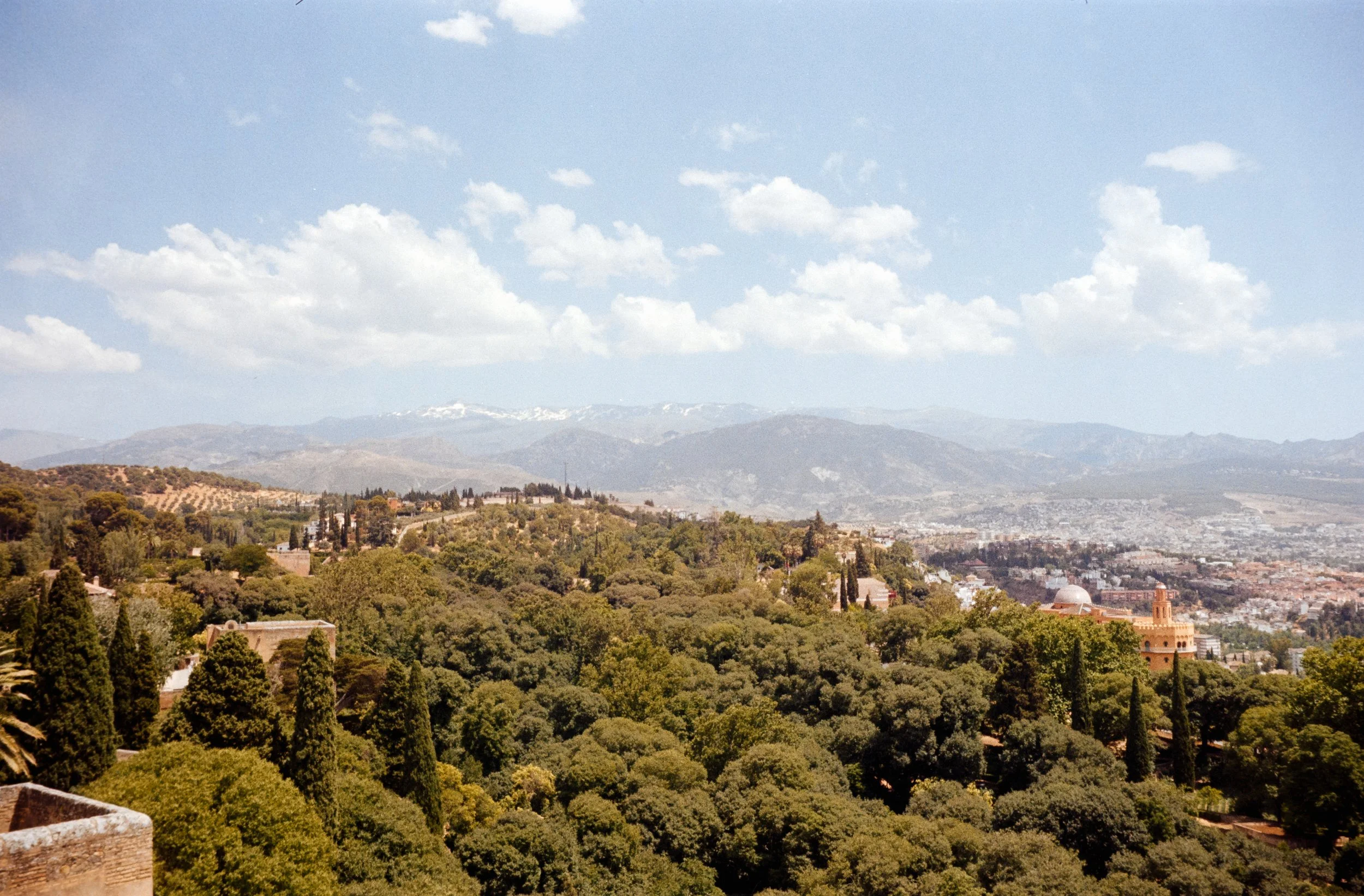 euroscan-24-positive.jpg