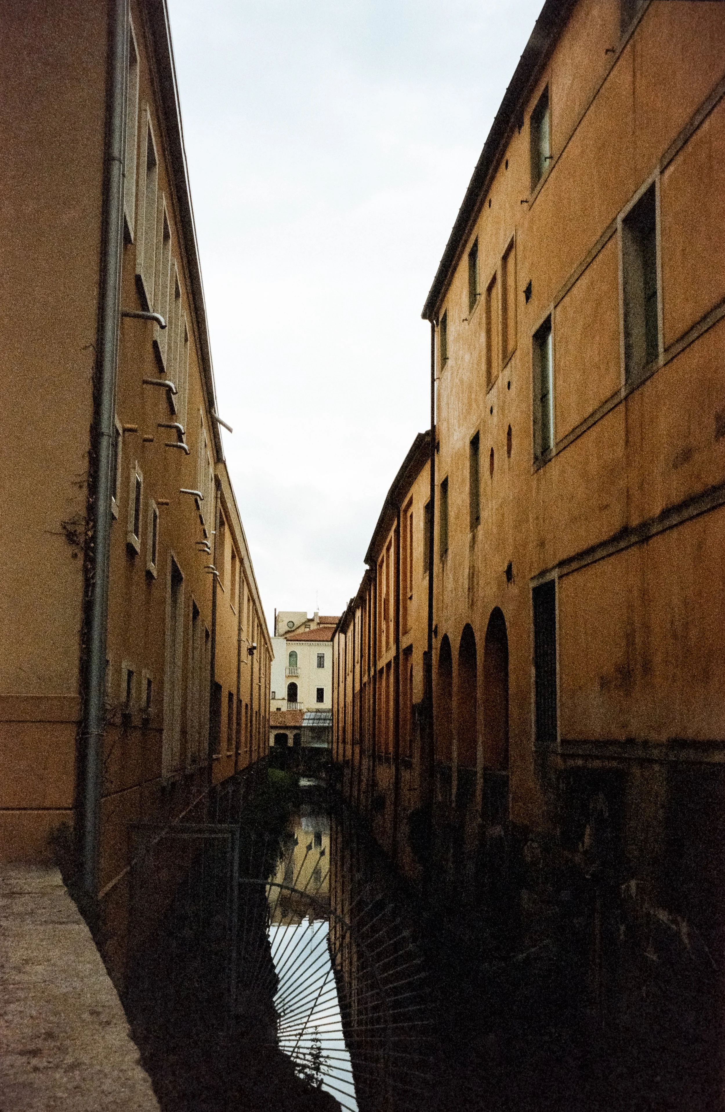 euroscan-261-positive.jpg