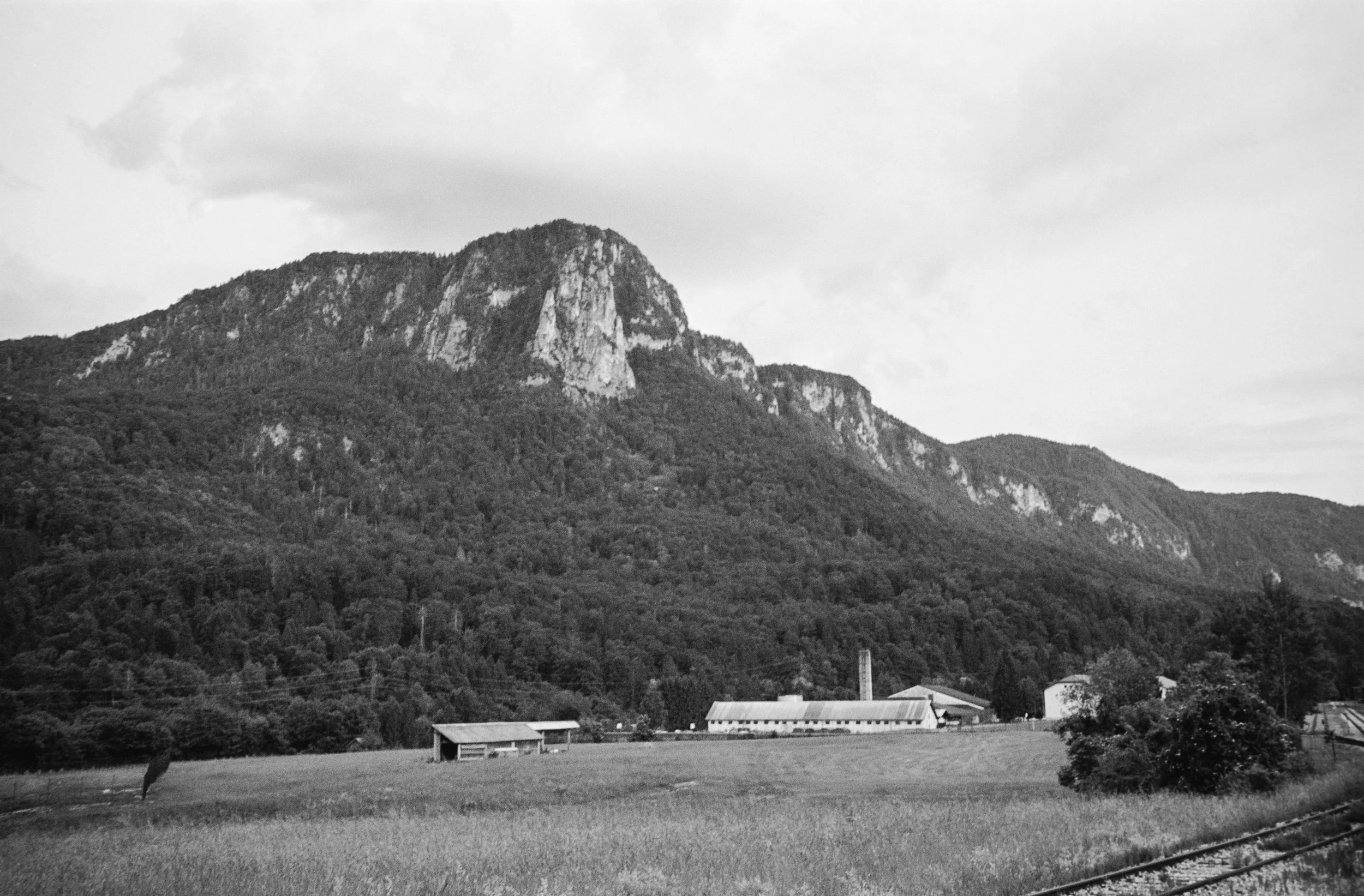 euroscan-386-positive.jpg