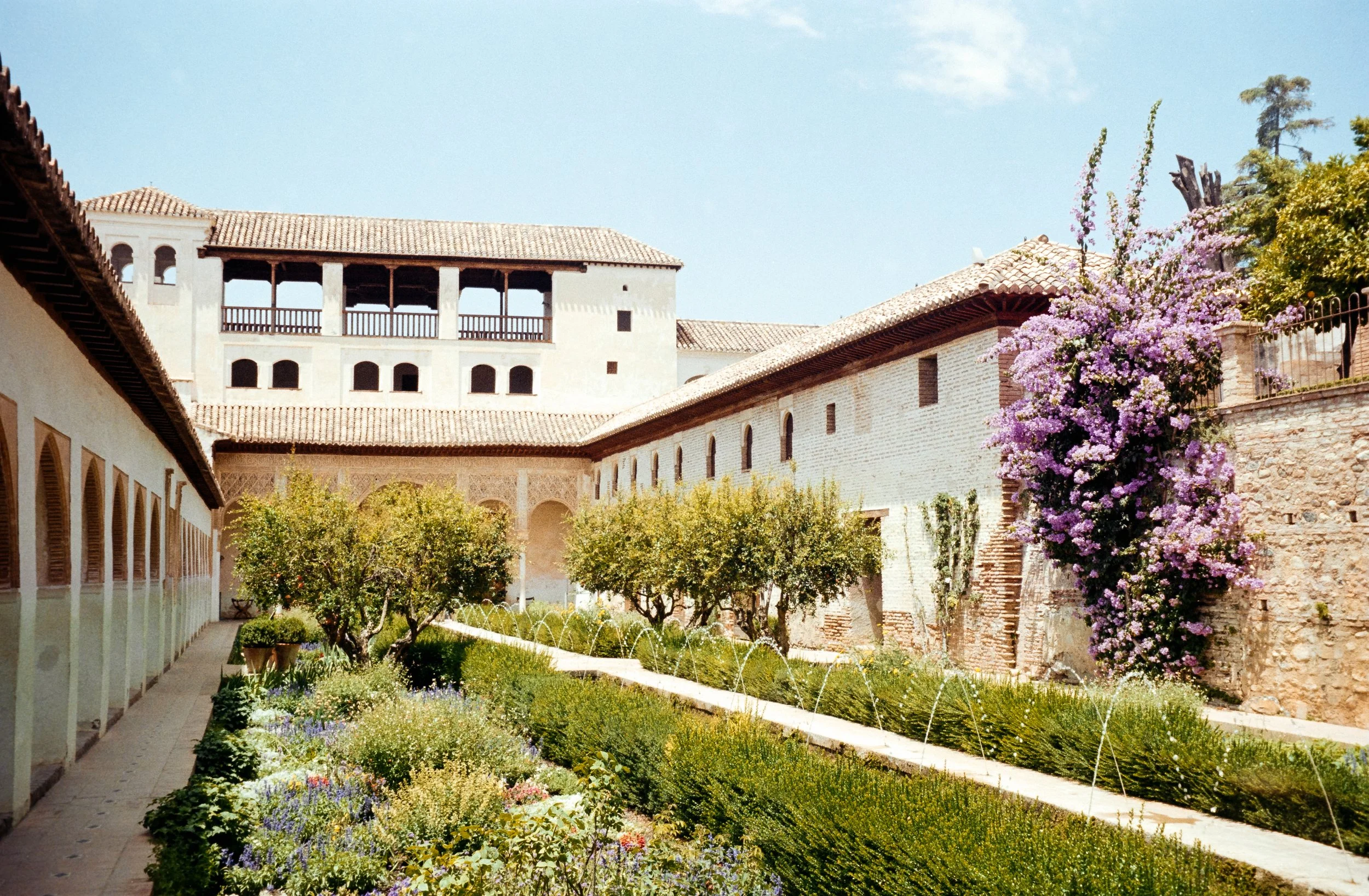 euroscan-32-positive.jpg