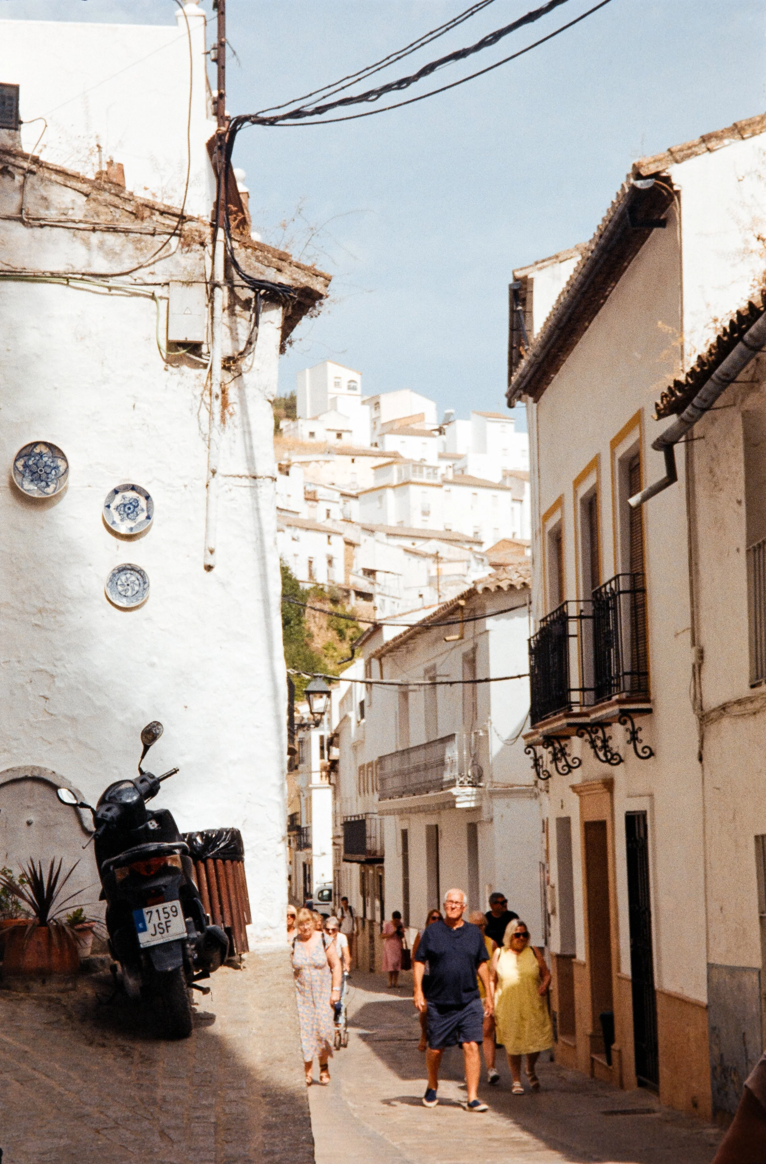 euroscan-333-positive.jpg