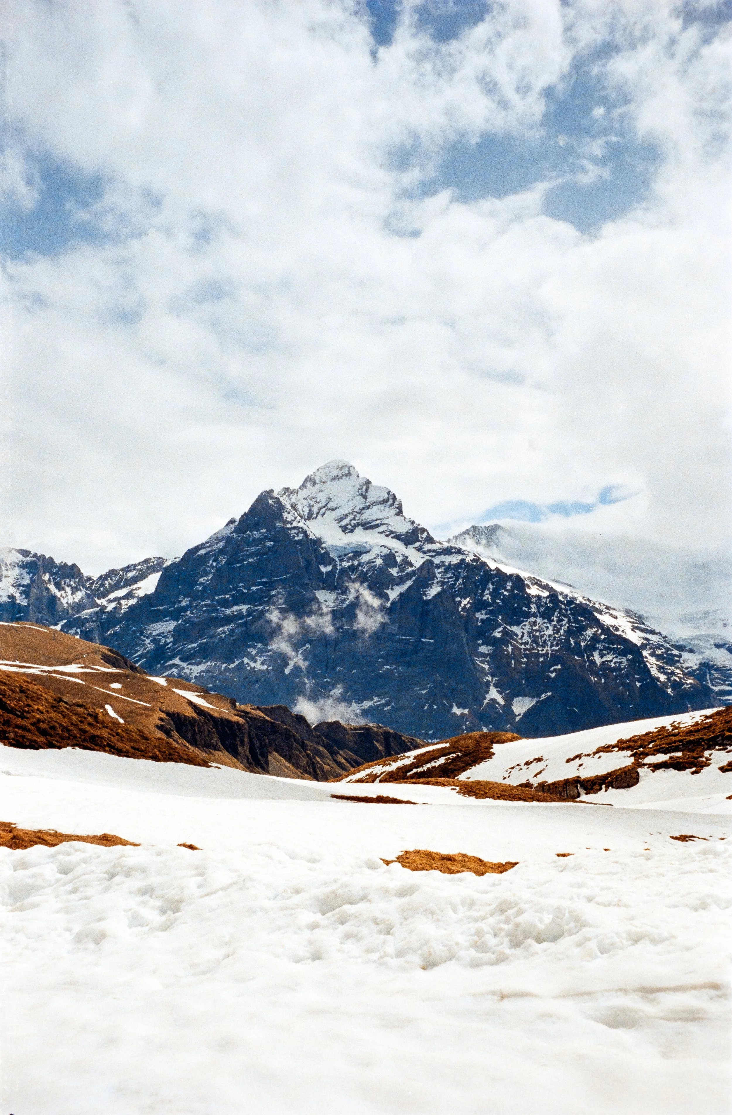 euroscan-227-positive.jpg