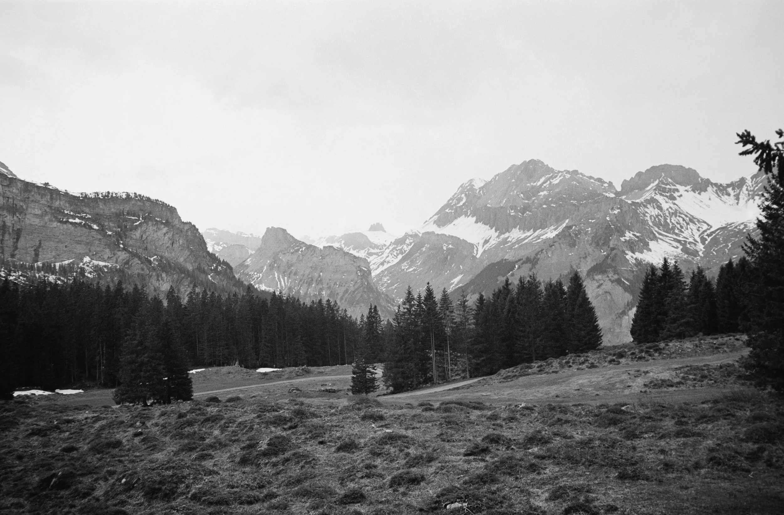 euroscan-520-positive.jpg