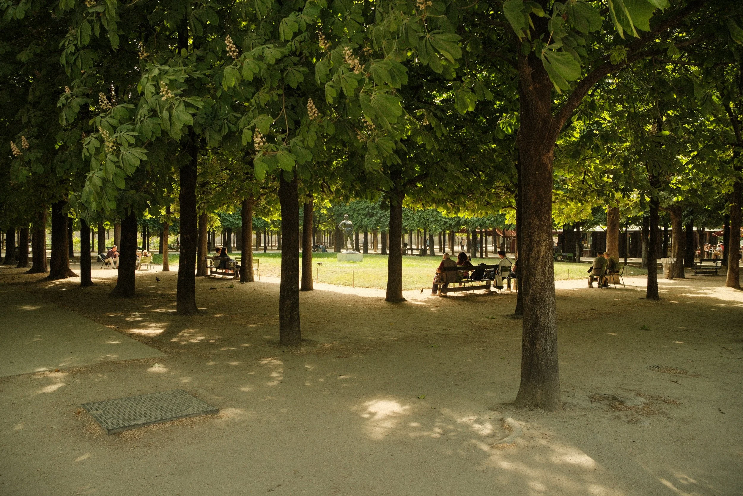 _DSF0208.jpg