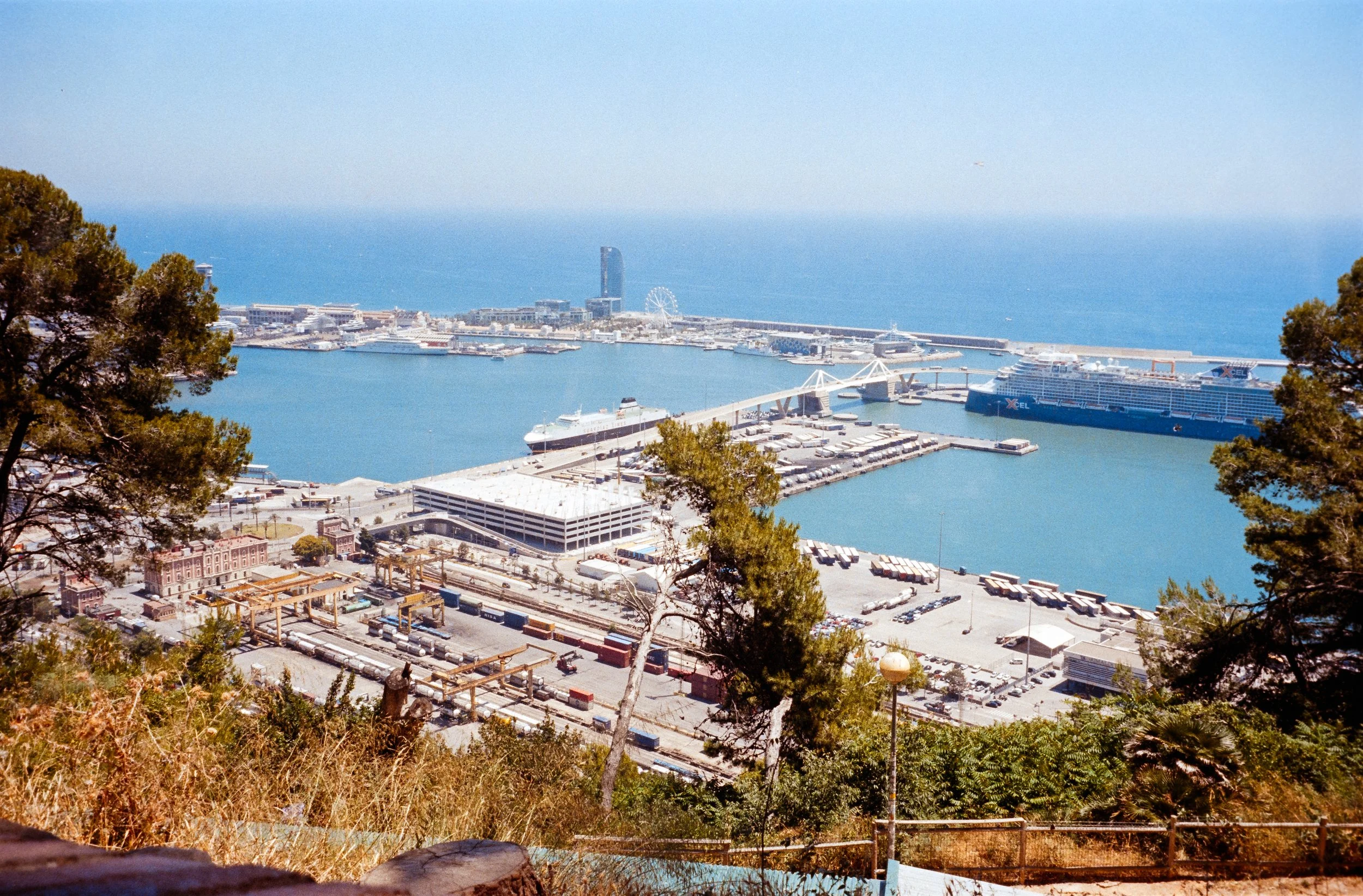 euroscan-99-positive.jpg