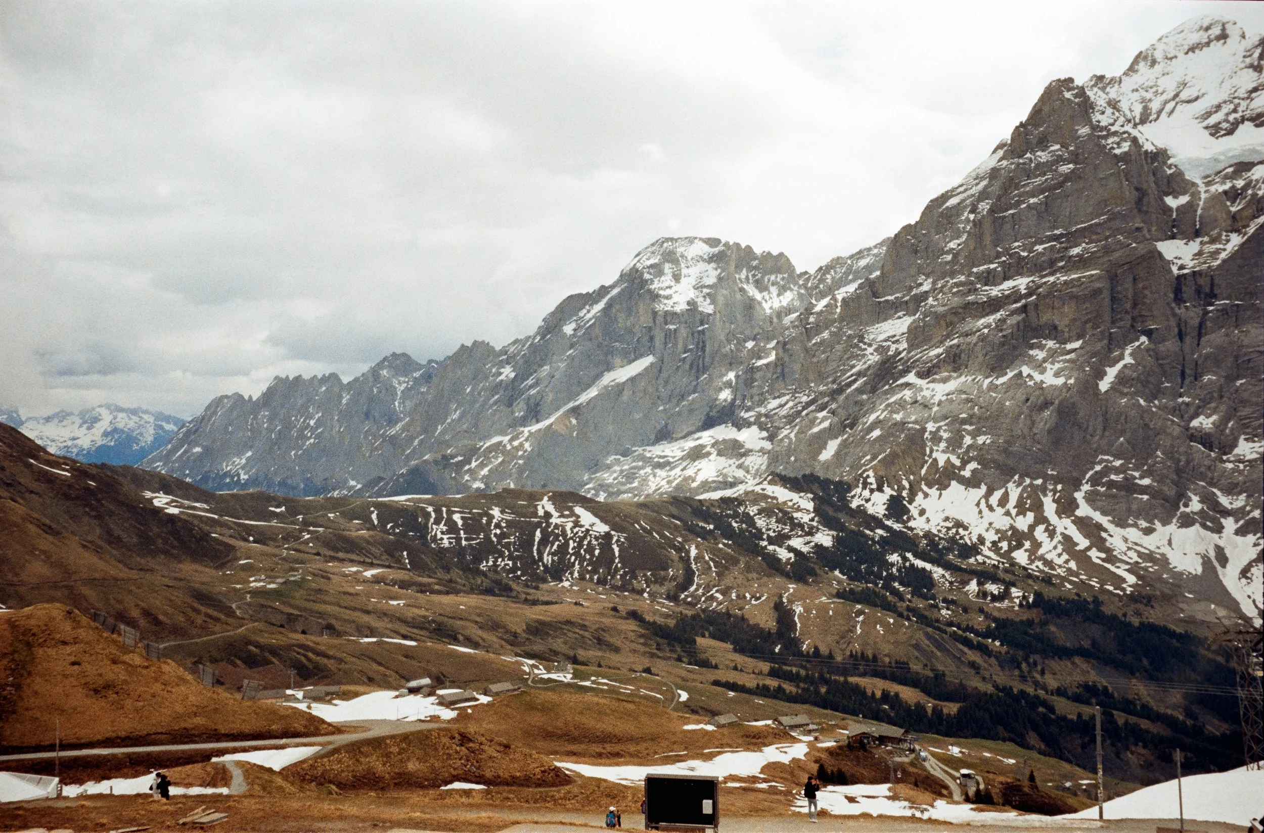 euroscan-215-positive.jpg