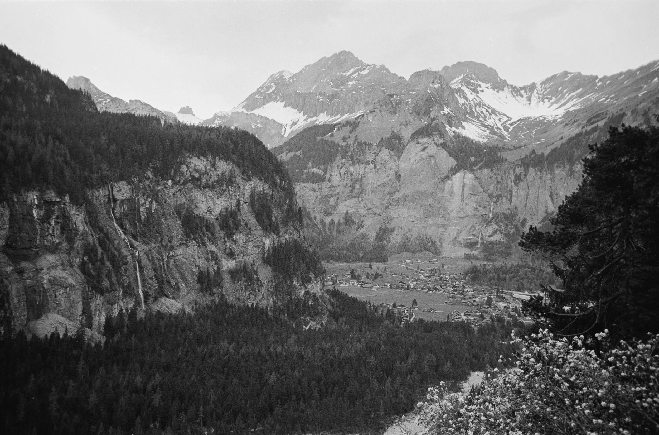 euroscan-494-positive.jpg