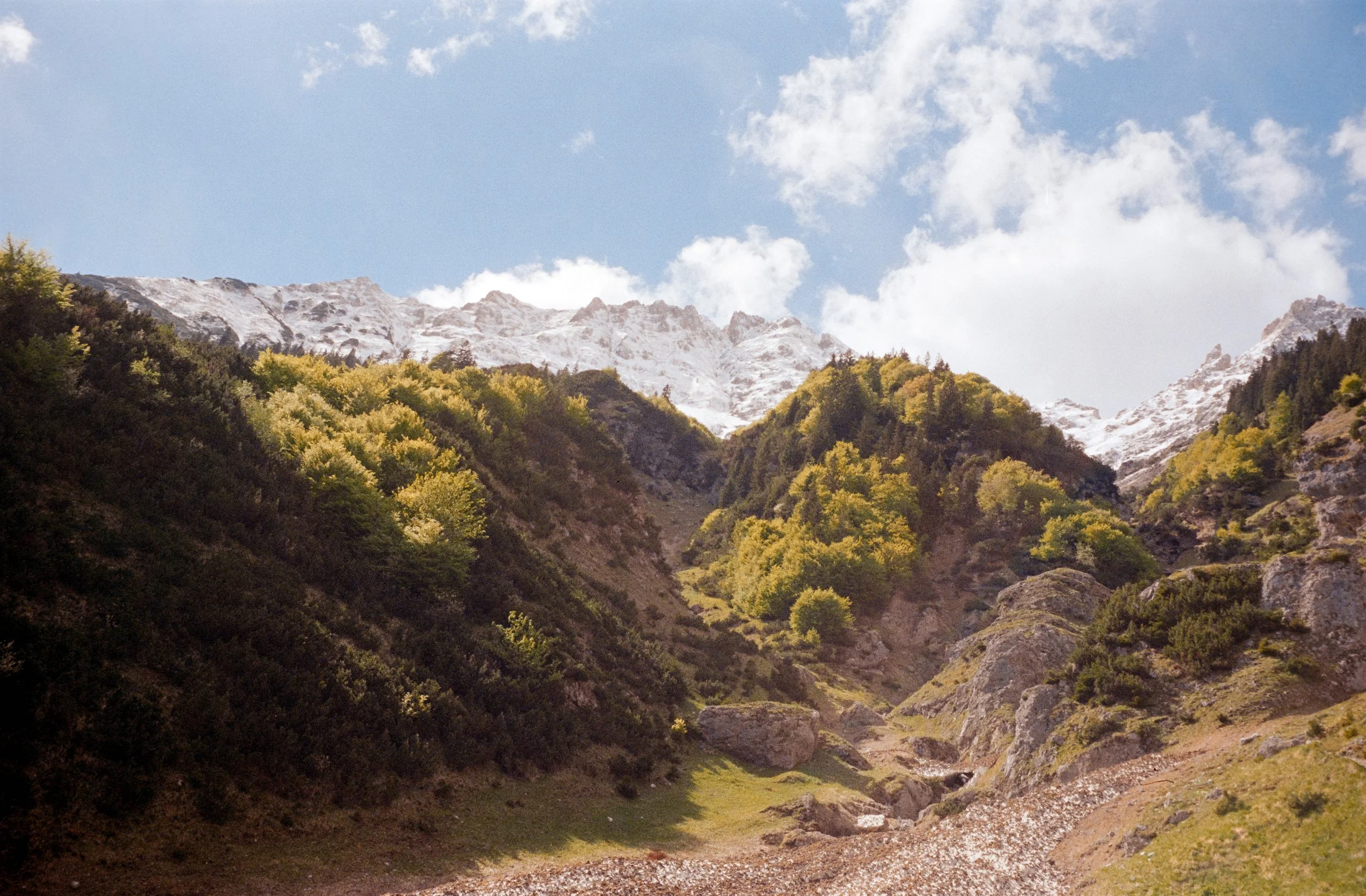 euroscan-253-positive.jpg