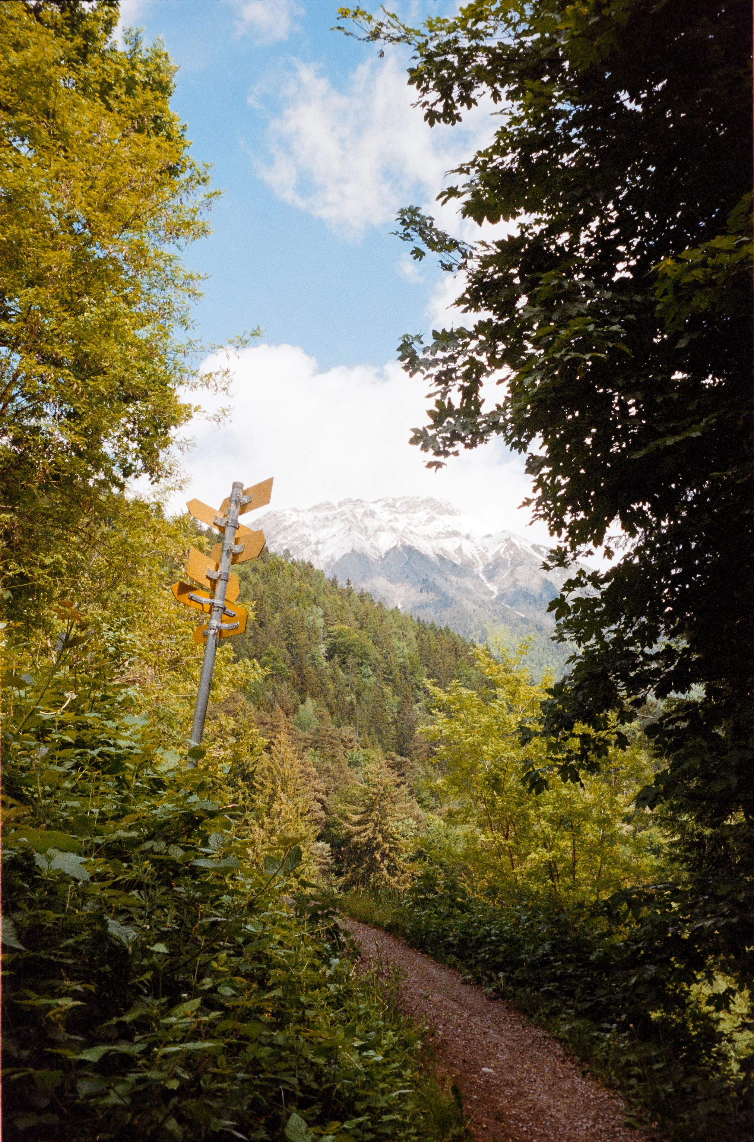 euroscan-239-positive.jpg