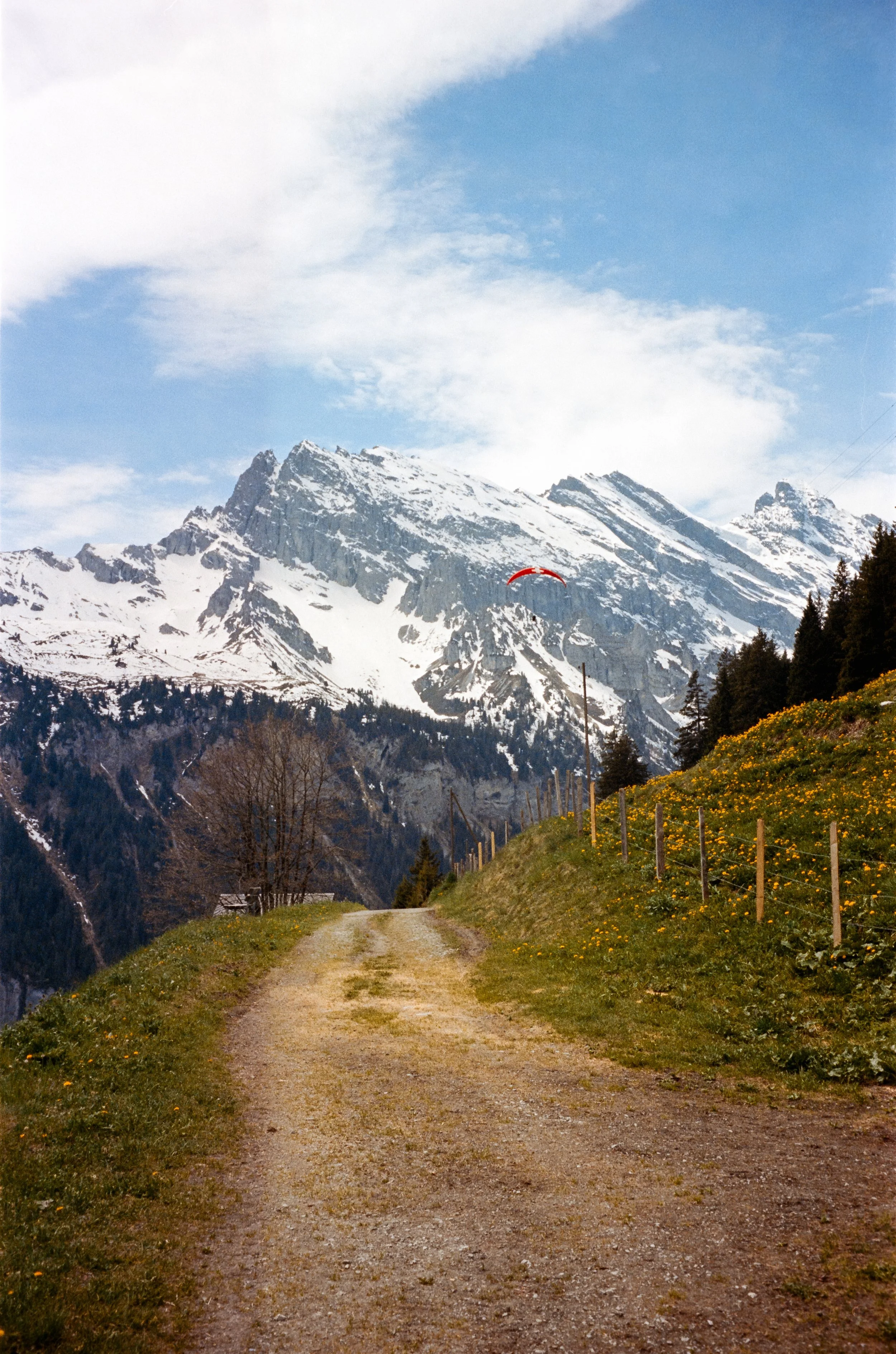 euroscan-140-positive.jpg