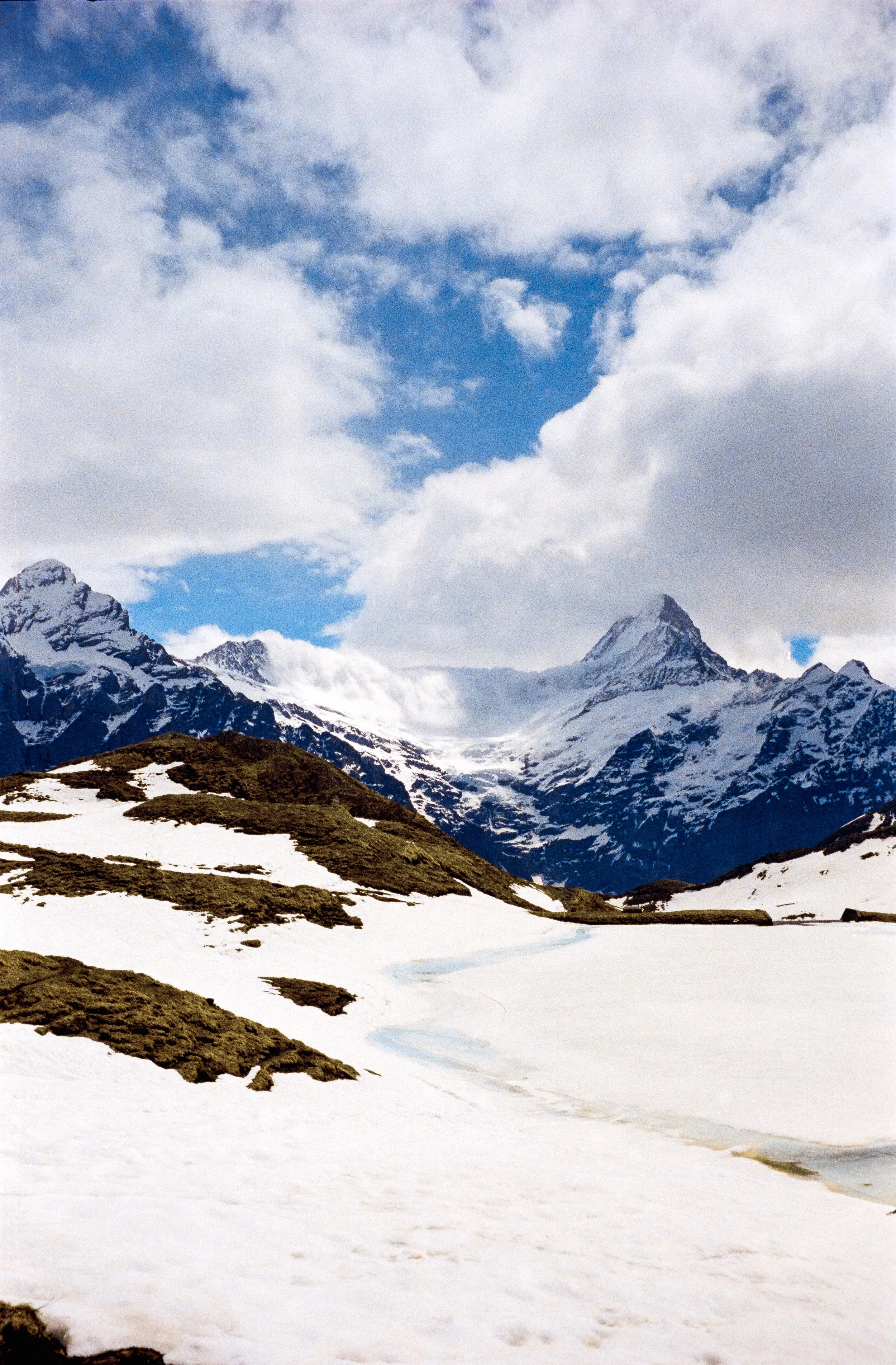 euroscan-228-positive.jpg