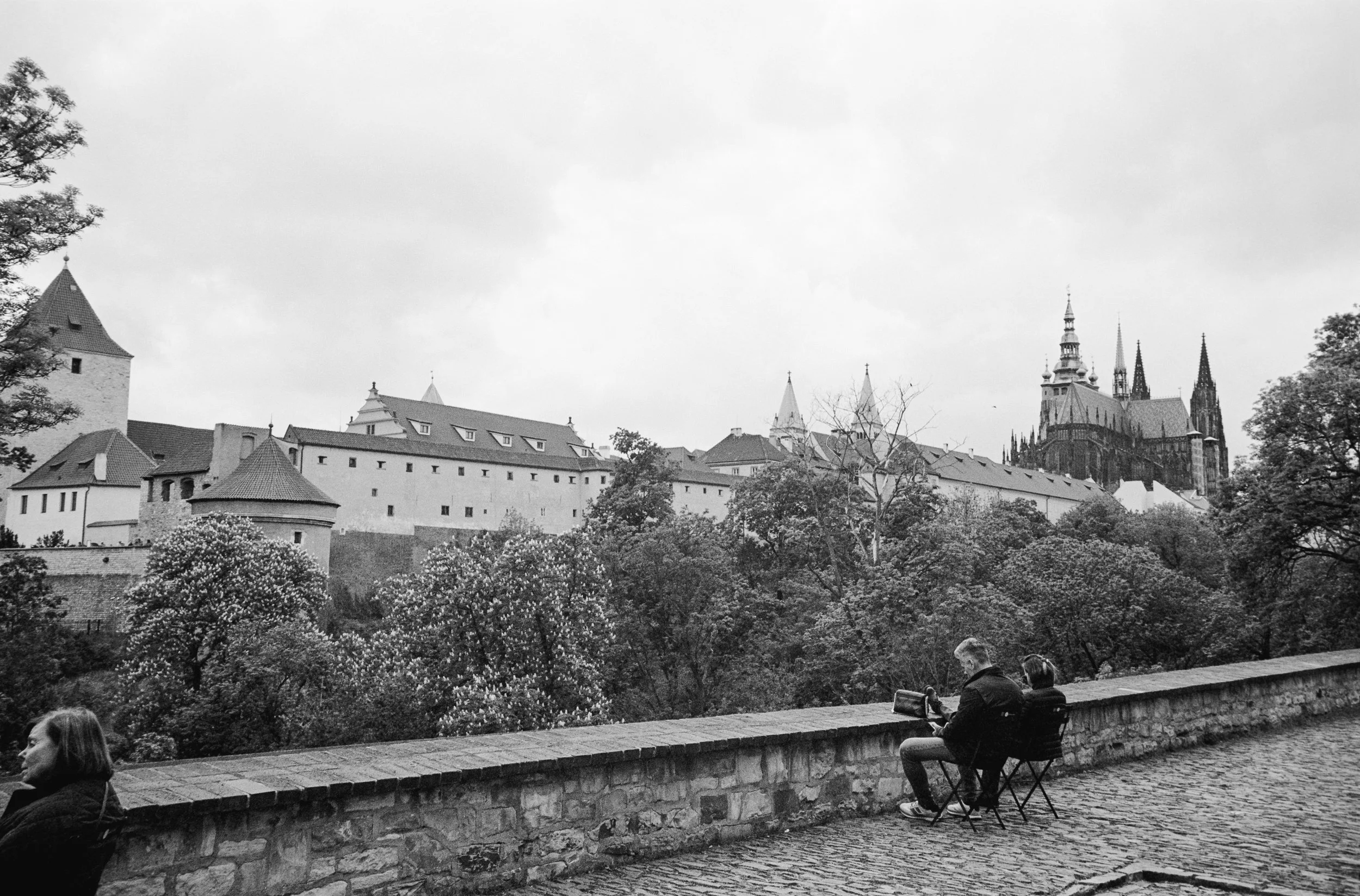 euroscan-445-positive.jpg