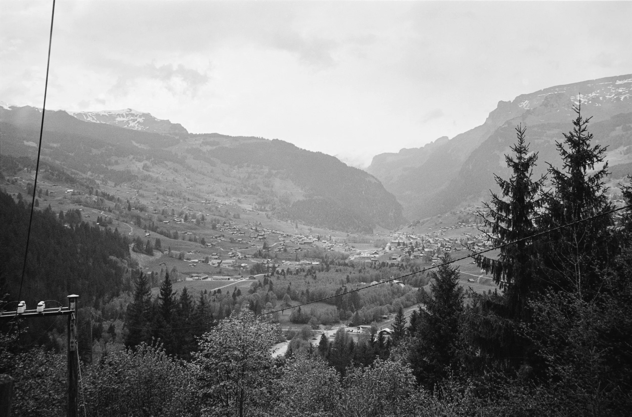euroscan-418-positive.jpg