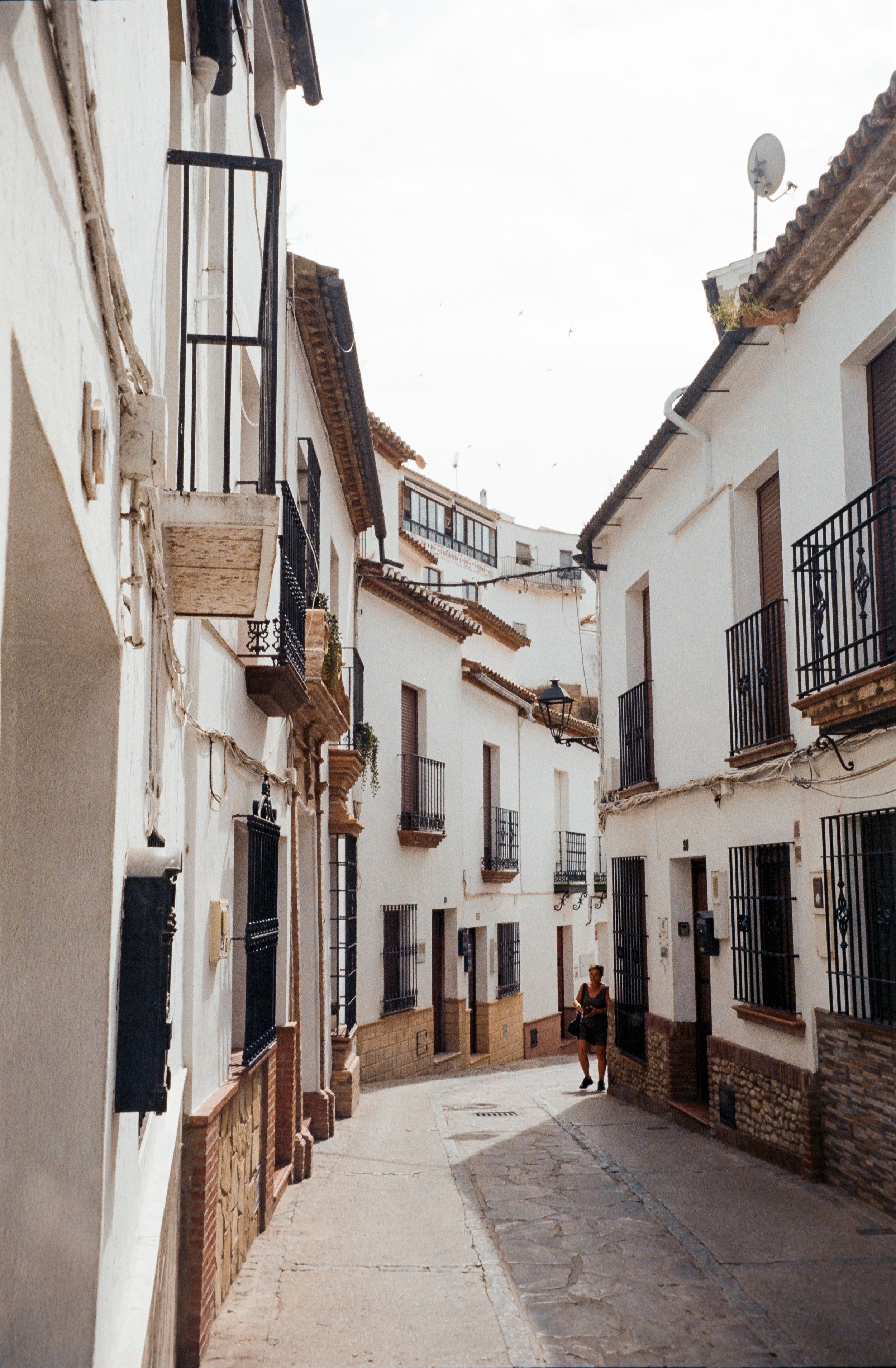 euroscan-327-positive.jpg
