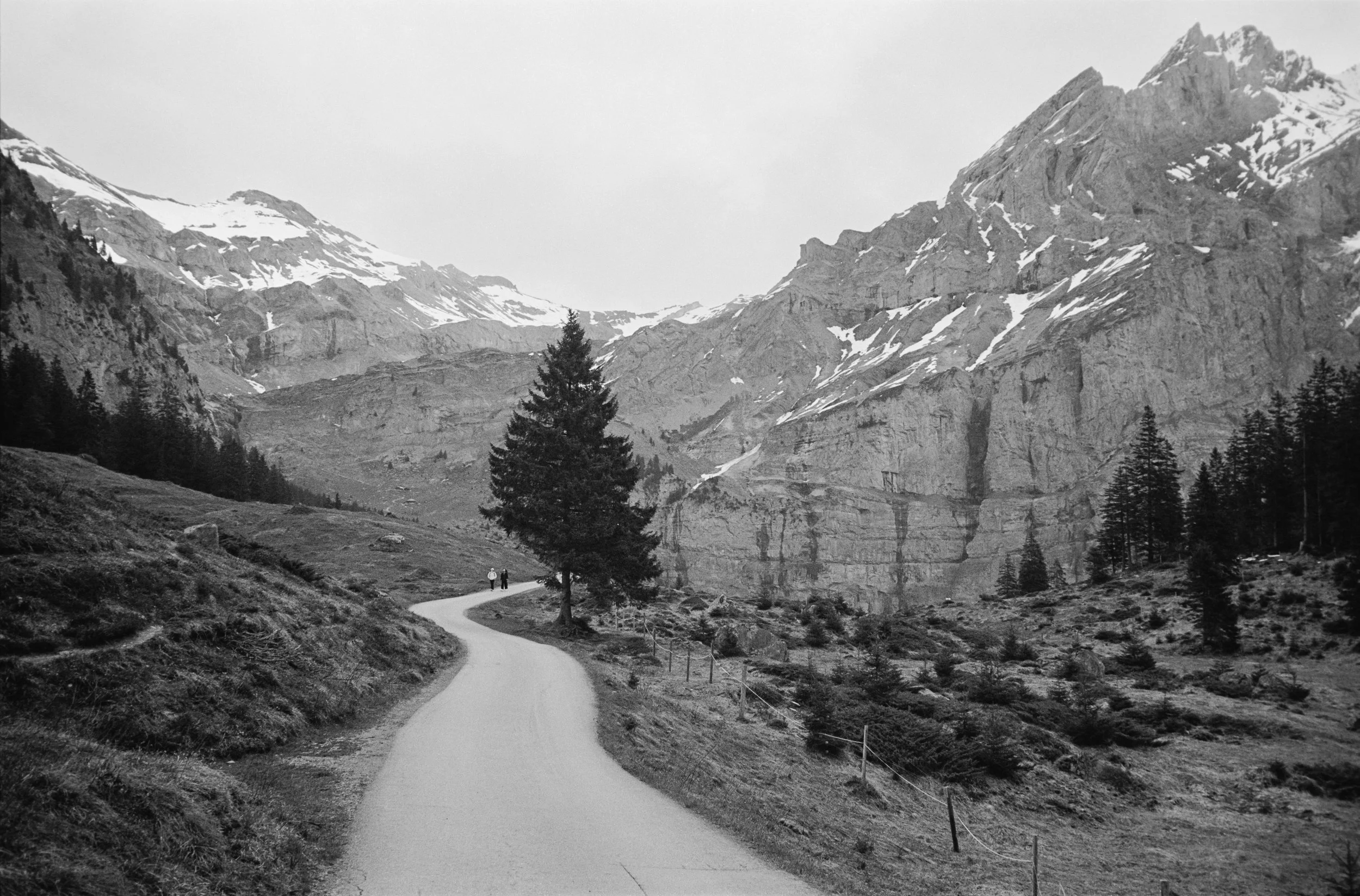 euroscan-497-positive.jpg