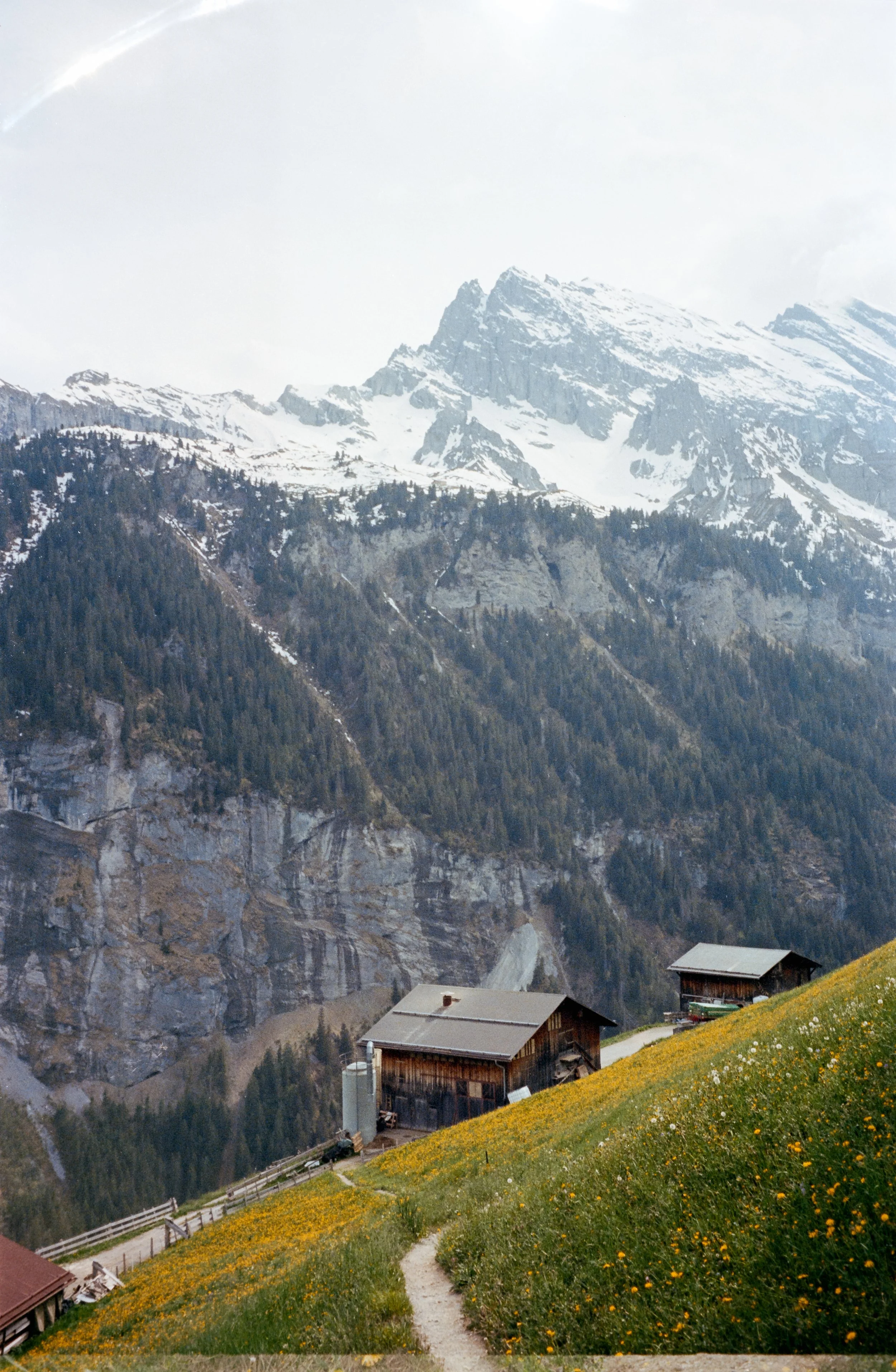 euroscan-164-positive.jpg