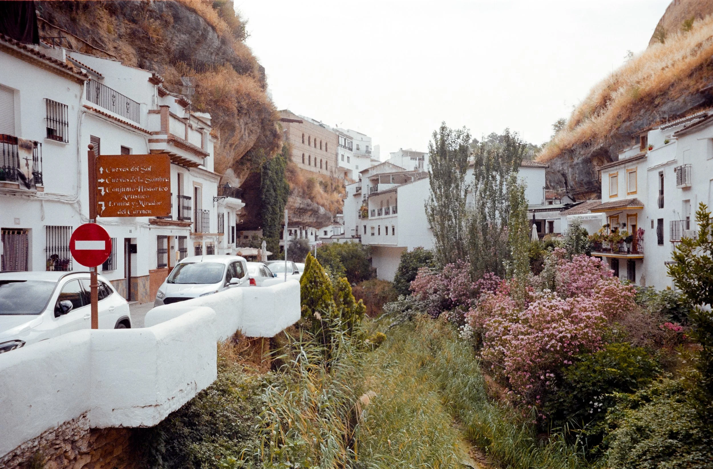 euroscan-321-positive.jpg
