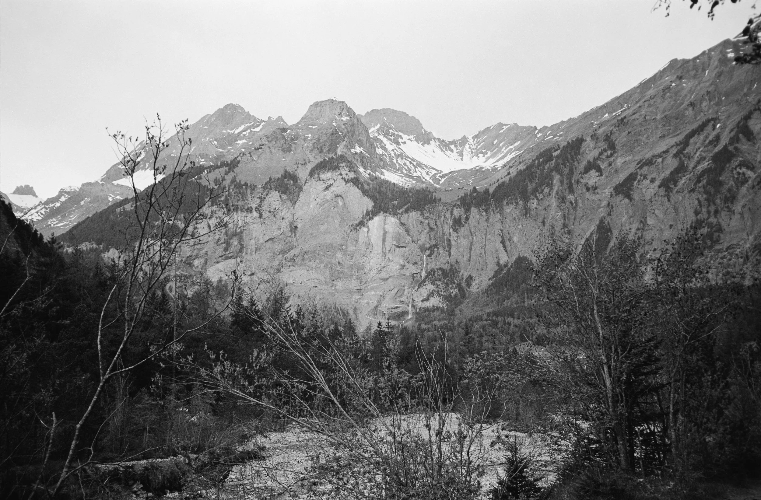 euroscan-489-positive.jpg
