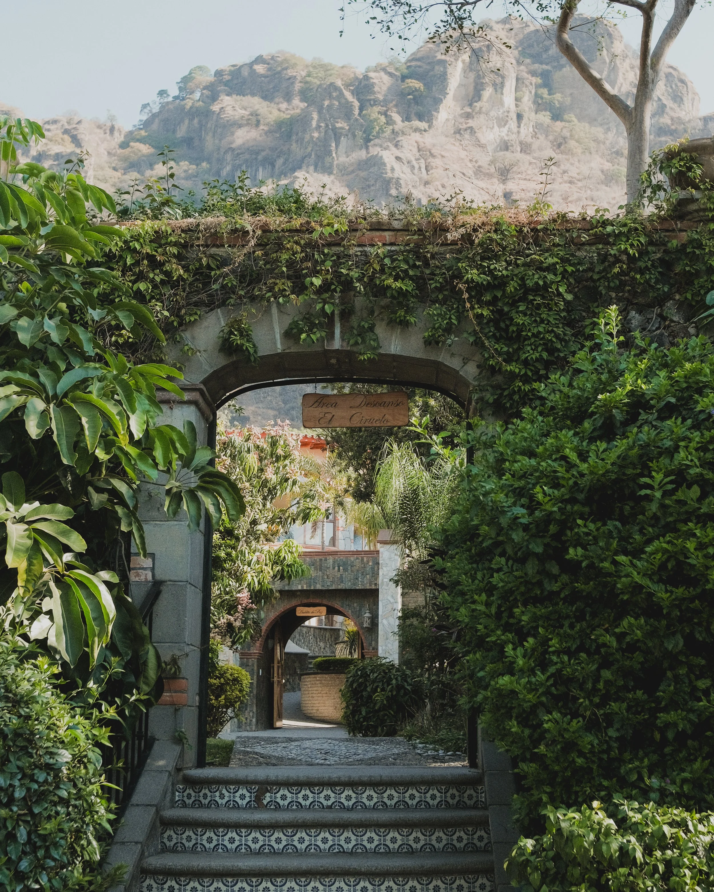 Jardines.jpg