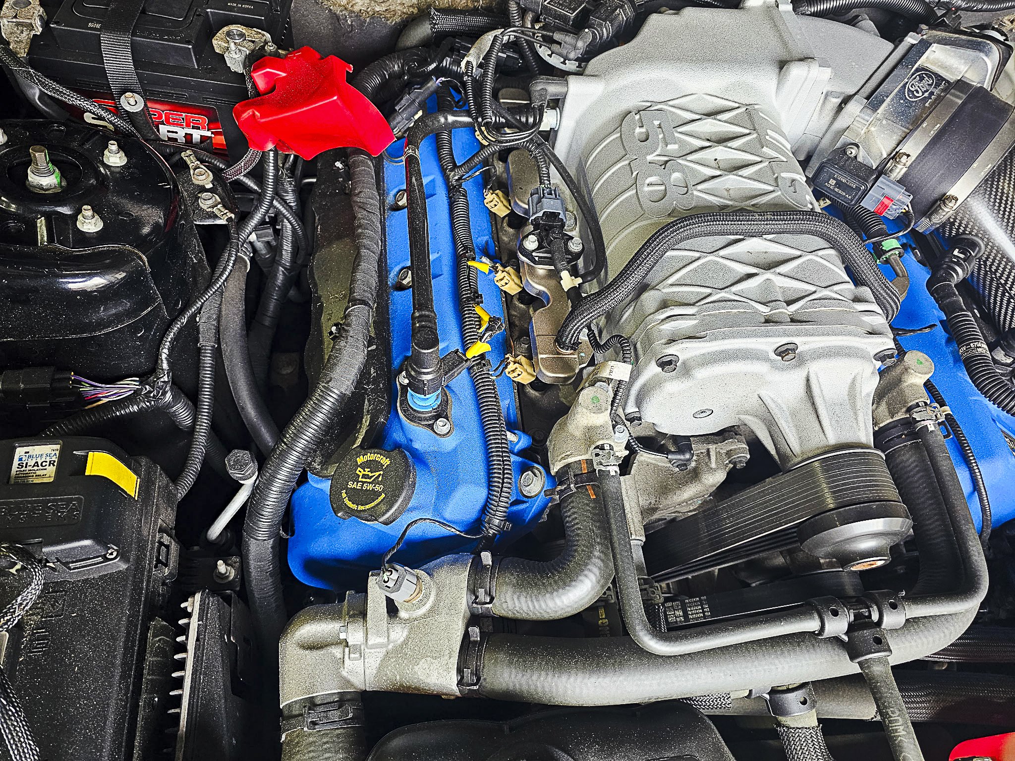 2013 Mustang Shelby GT500 for Sale in Mill Spring NC-03.jpg