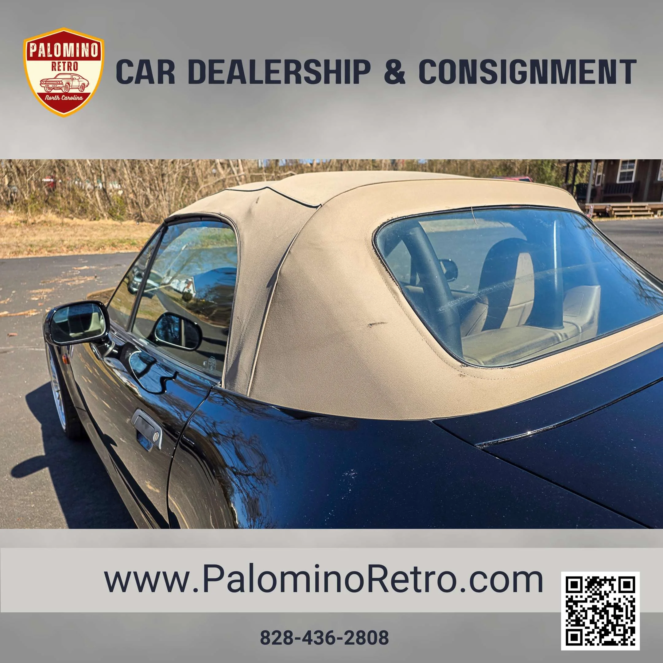 2013 Shelby GT500 (5).jpg