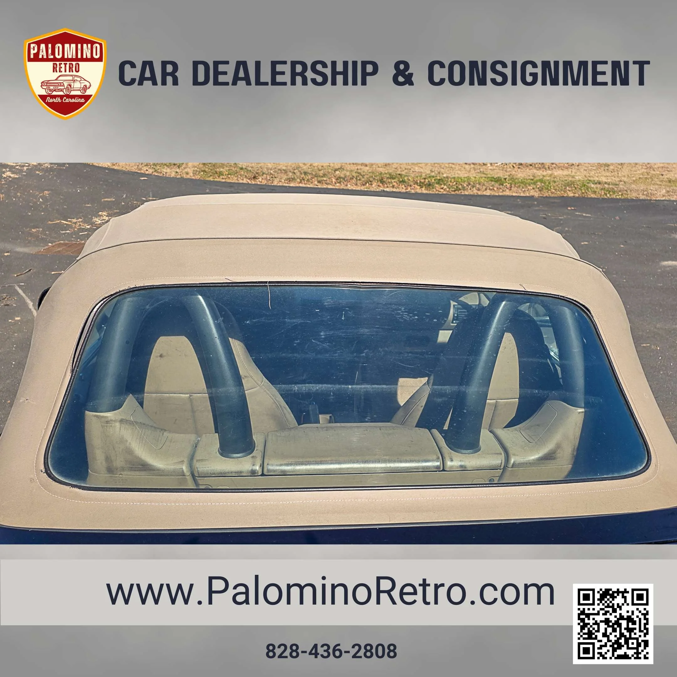 2013 Shelby GT500 (6).jpg