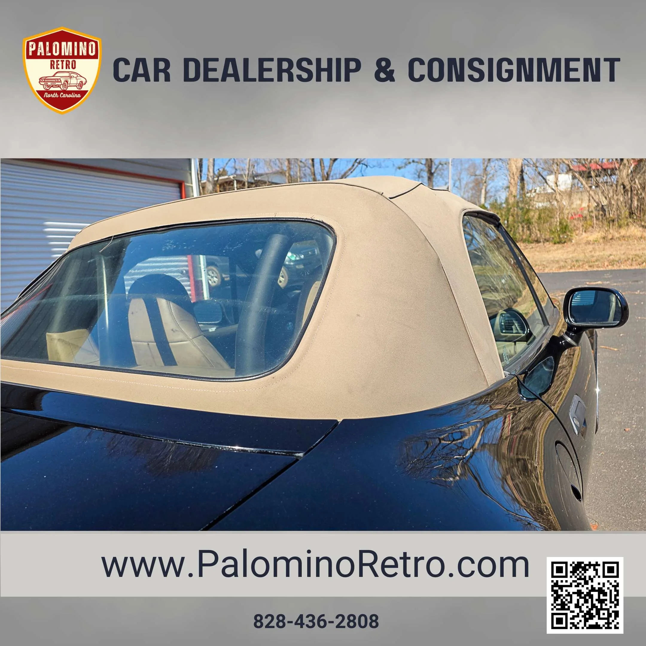 2013 Shelby GT500 (7).jpg