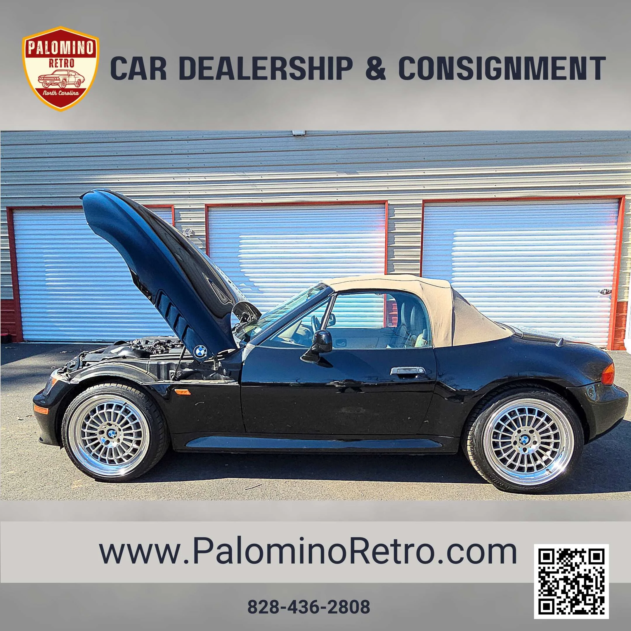 2013 Shelby GT500 (8).jpg