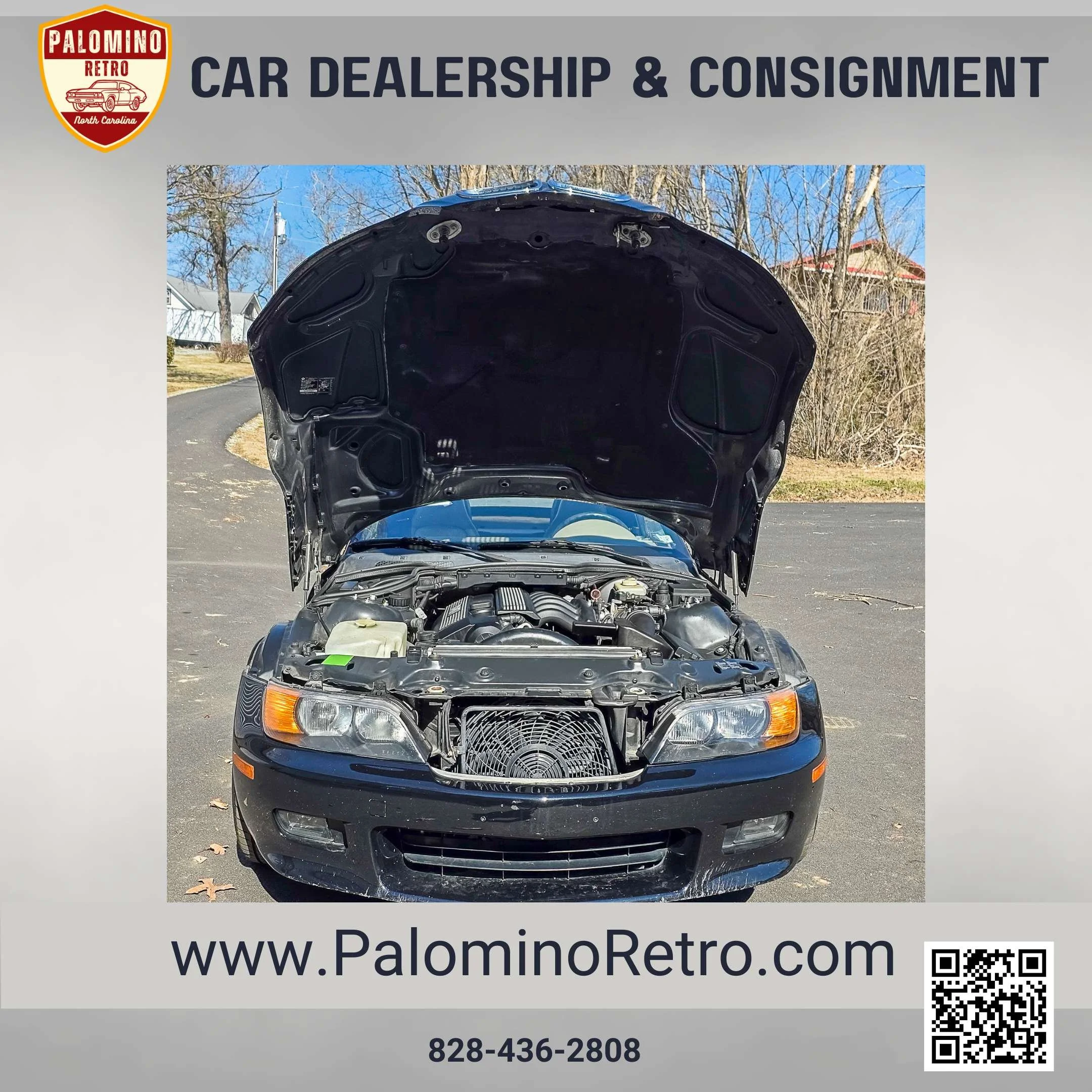 2013 Shelby GT500 (9).jpg