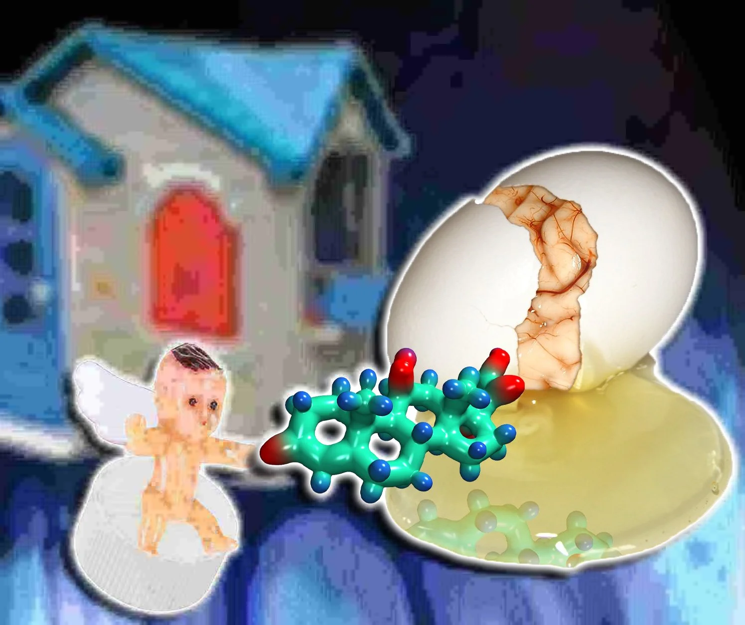 bio.jpg