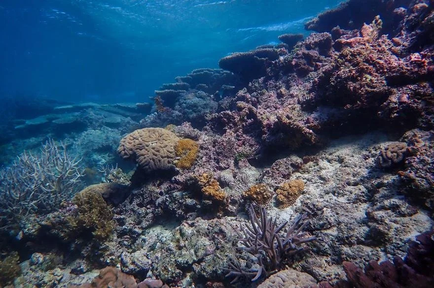 Marine Sustainability Fund