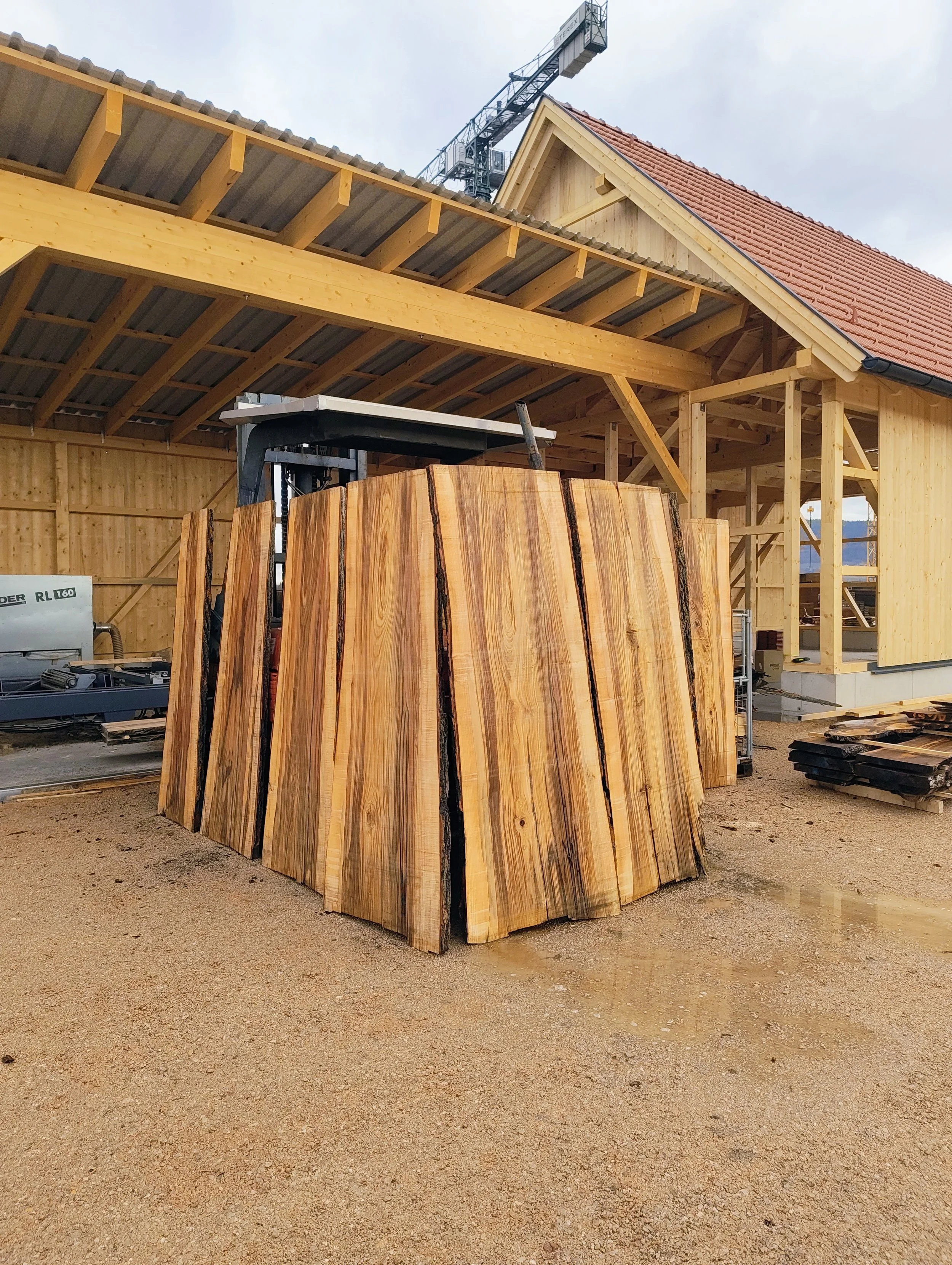 Eschenholz, Esche, Eschenplatte, Tischplatte Esche, Holz Lanzenkirchen, Sägewerk, Wertholz