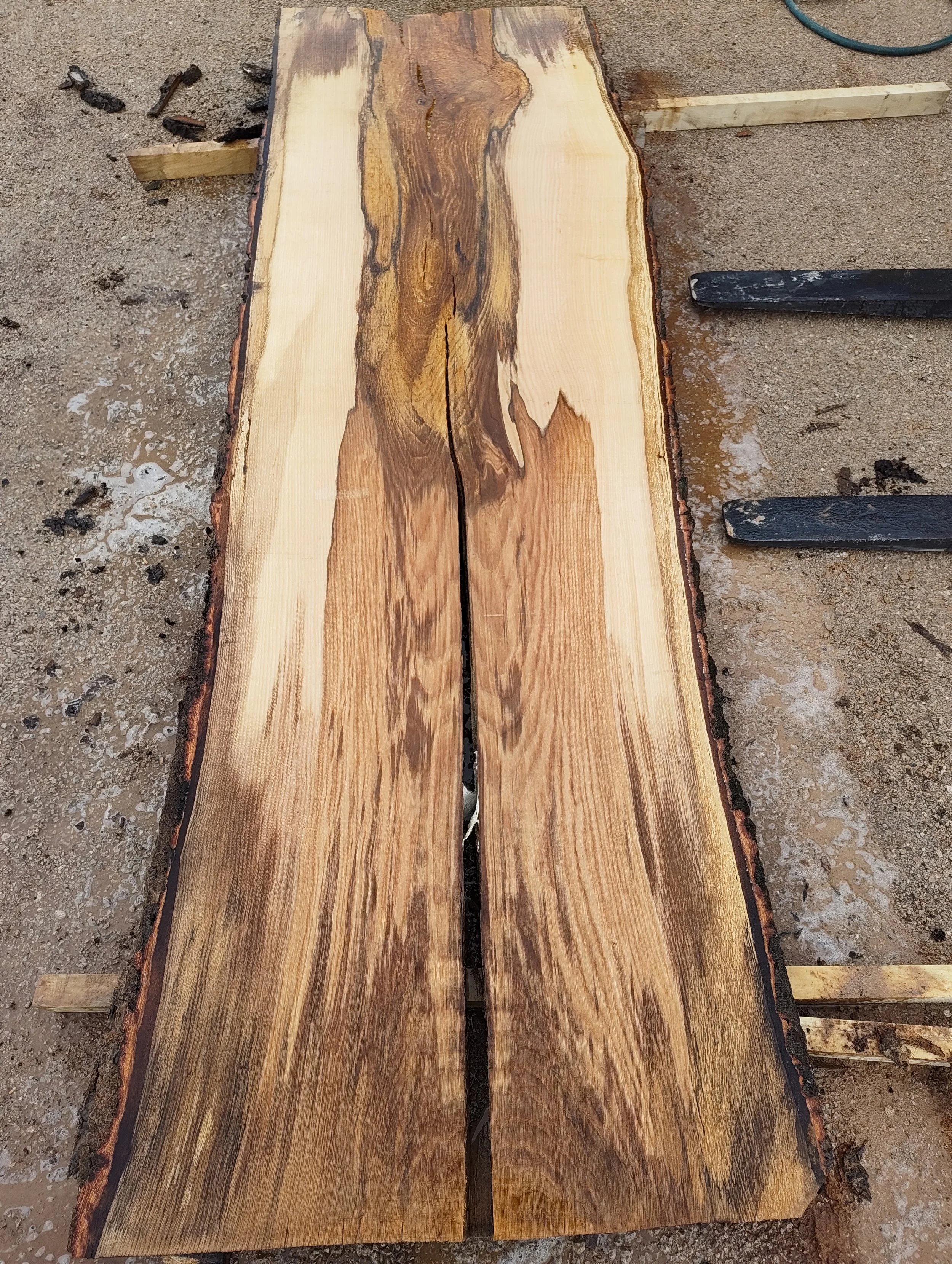 Holz Thermenregion, Eichenplatte, Einzelstück, Unikat, besonderes Holz