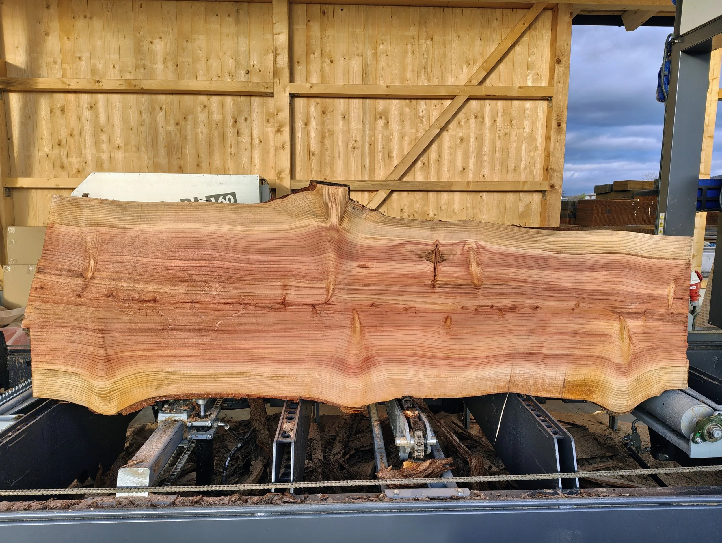 Mammutbaum, sequoia, Holzpfosten, Weichholz