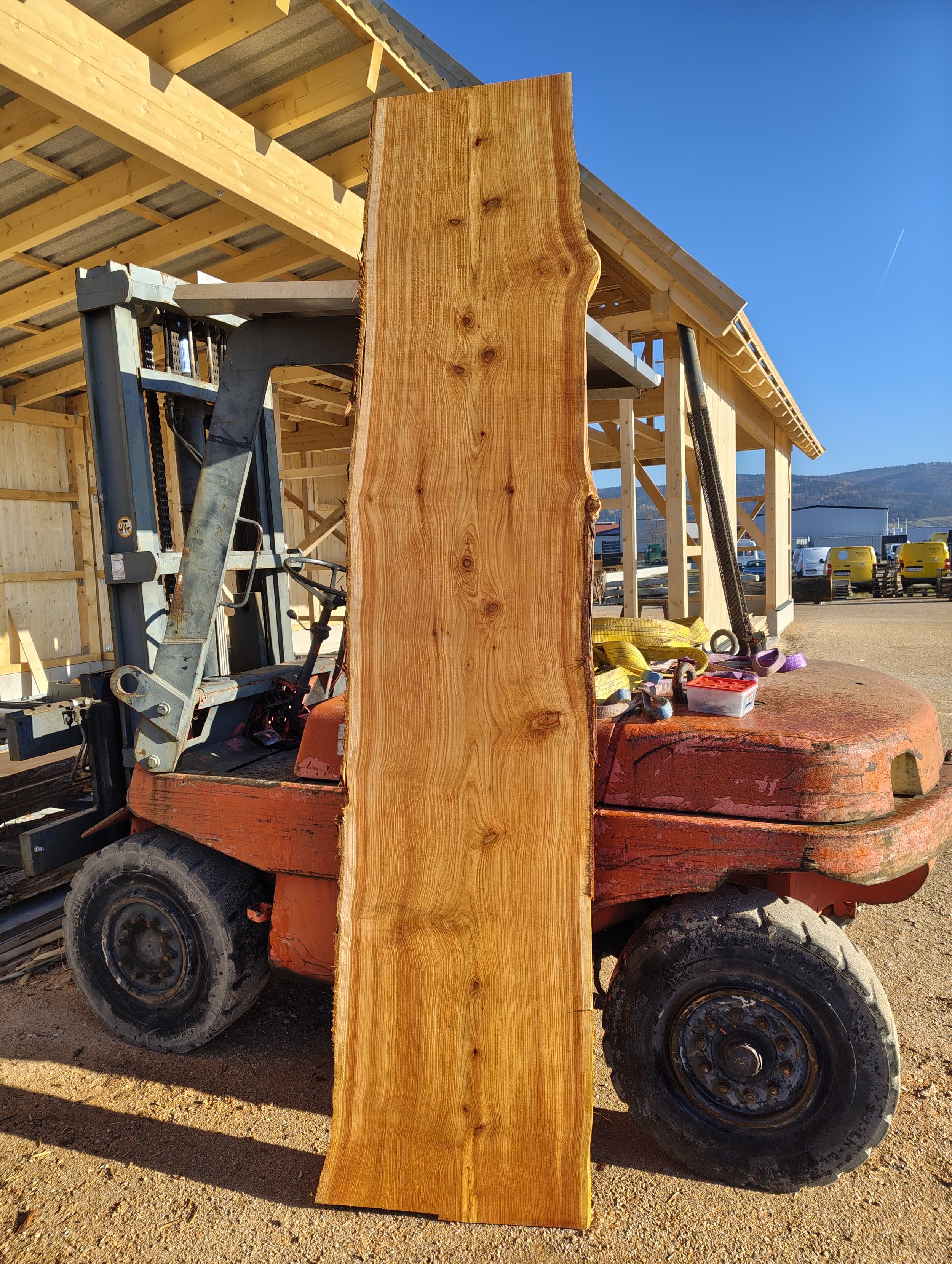 Thujaholz, Nadelholz, Harz